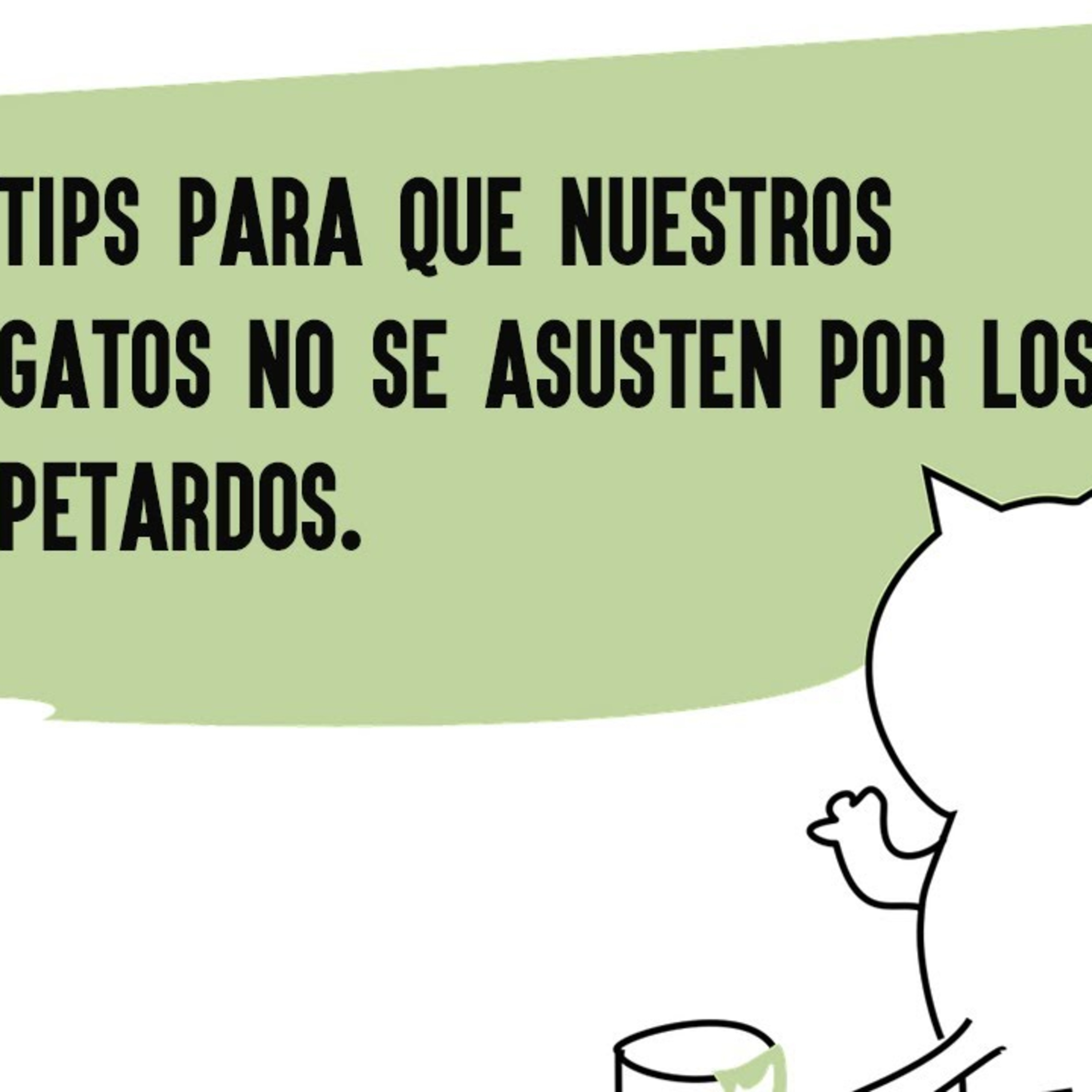 ⚠️ TIPS PARA CUIDAR A NUESTROS GATOS EN FALLAS
