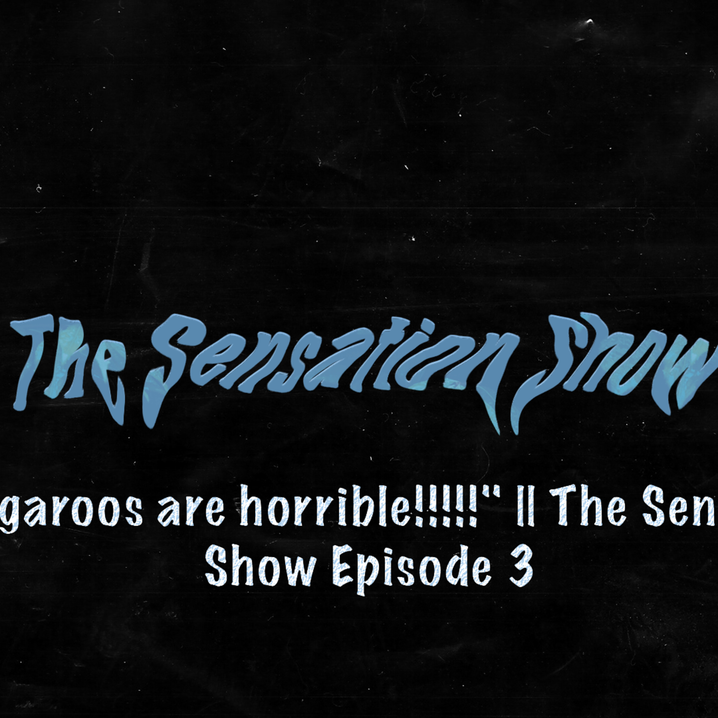 "Kangaroos are horrible!!!!!" || The Sensation Show Episode 3