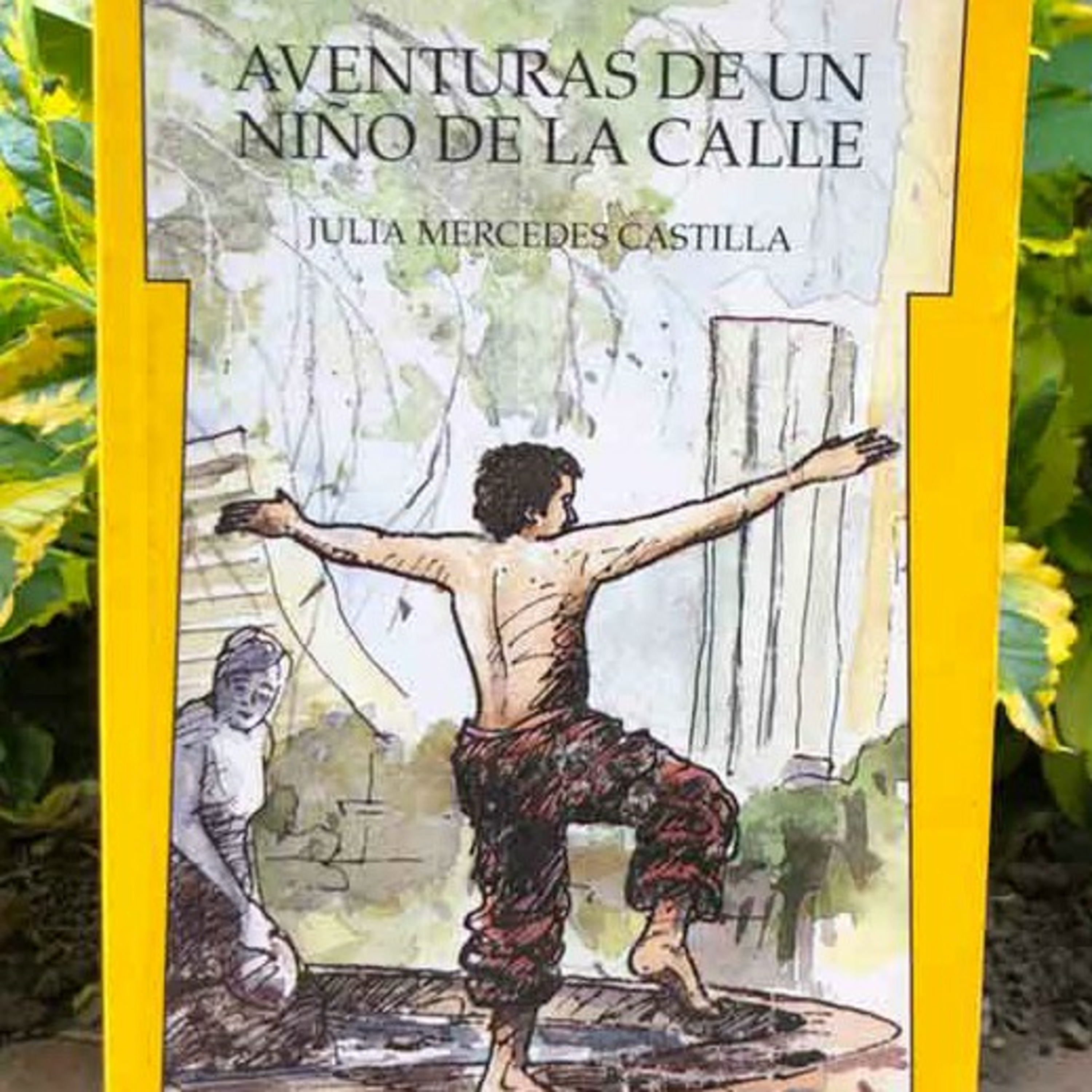 Audiolibro Aventuras de un niño de la calle - Julia Castilla - Episodio 1 episode artwork