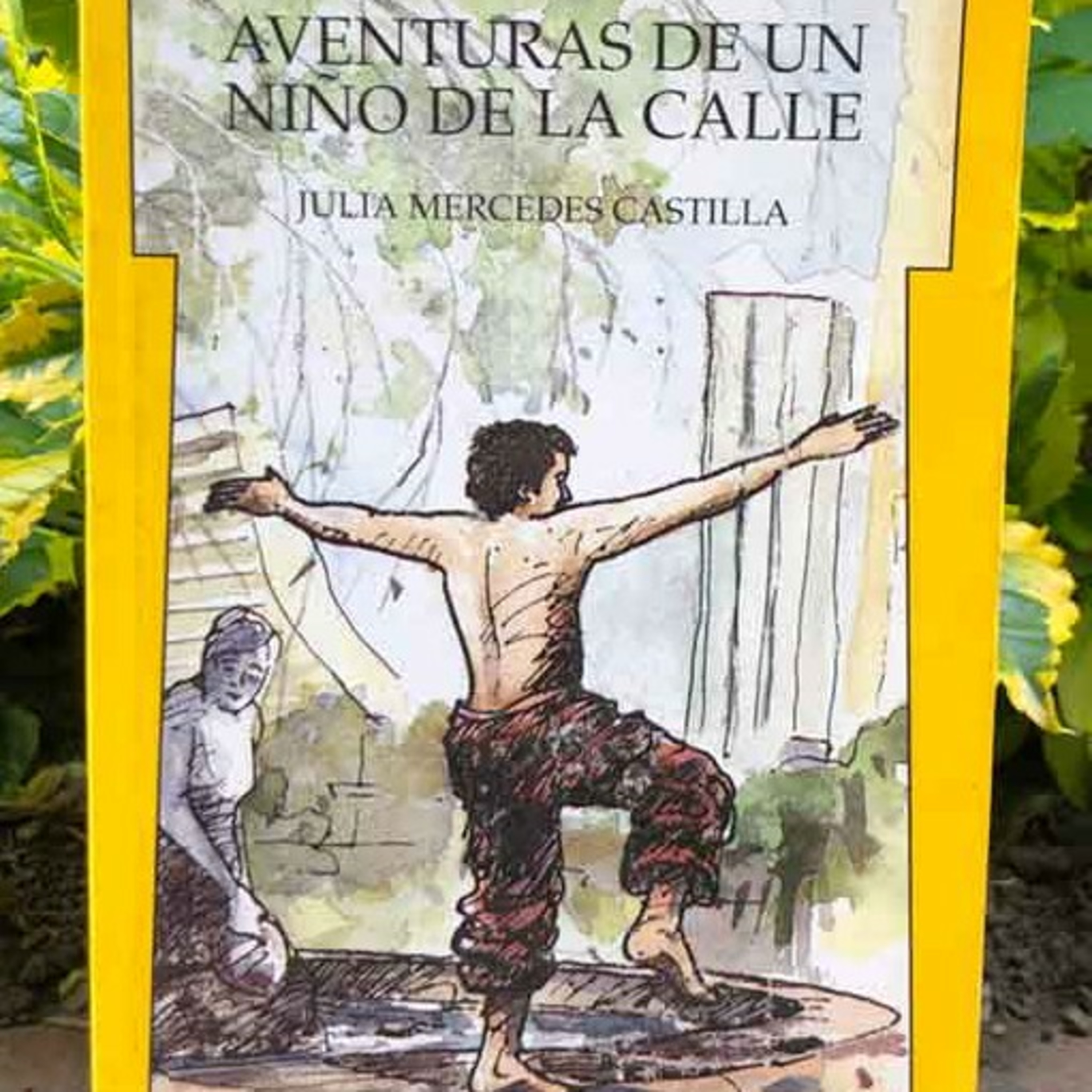 Audiolibro Aventuras de un niño de la calle - Julia Castilla - Episodio 2 episode artwork