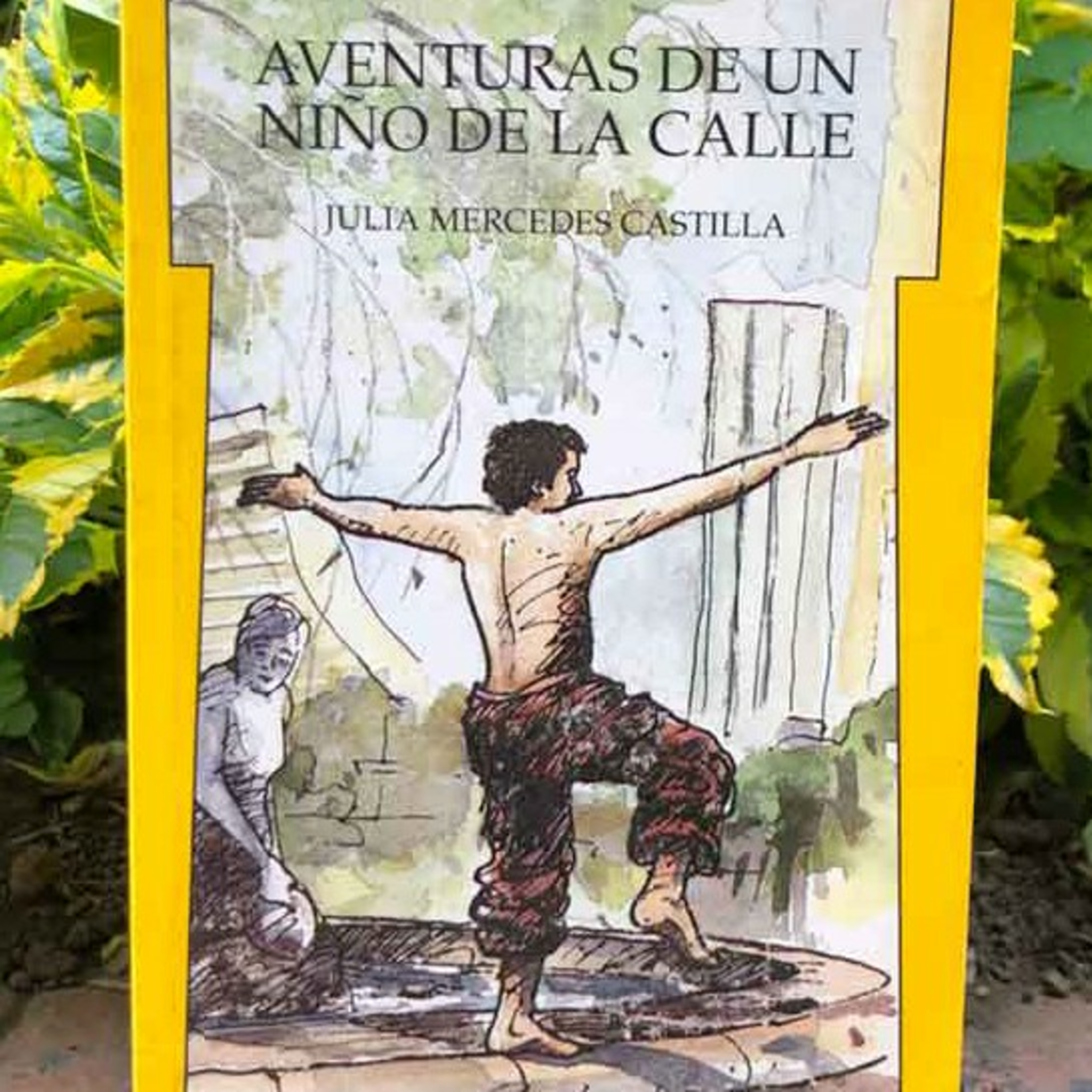 Audiolibro Aventuras de un niño de la calle - Julia Castilla - Episodio 4 episode artwork