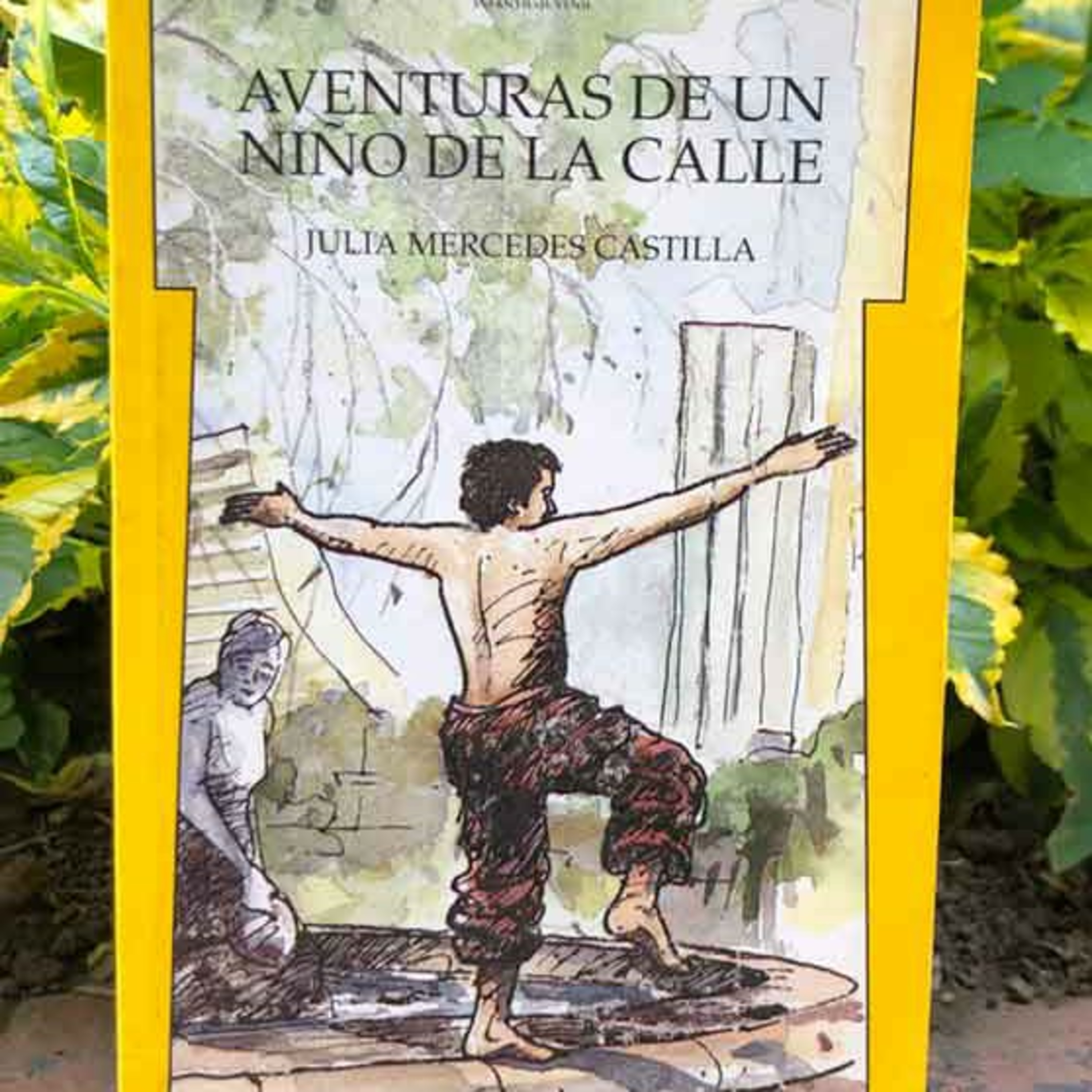 Audiolibro Aventuras de un niño de la calle - Julia Castilla - Episodio 5 episode artwork
