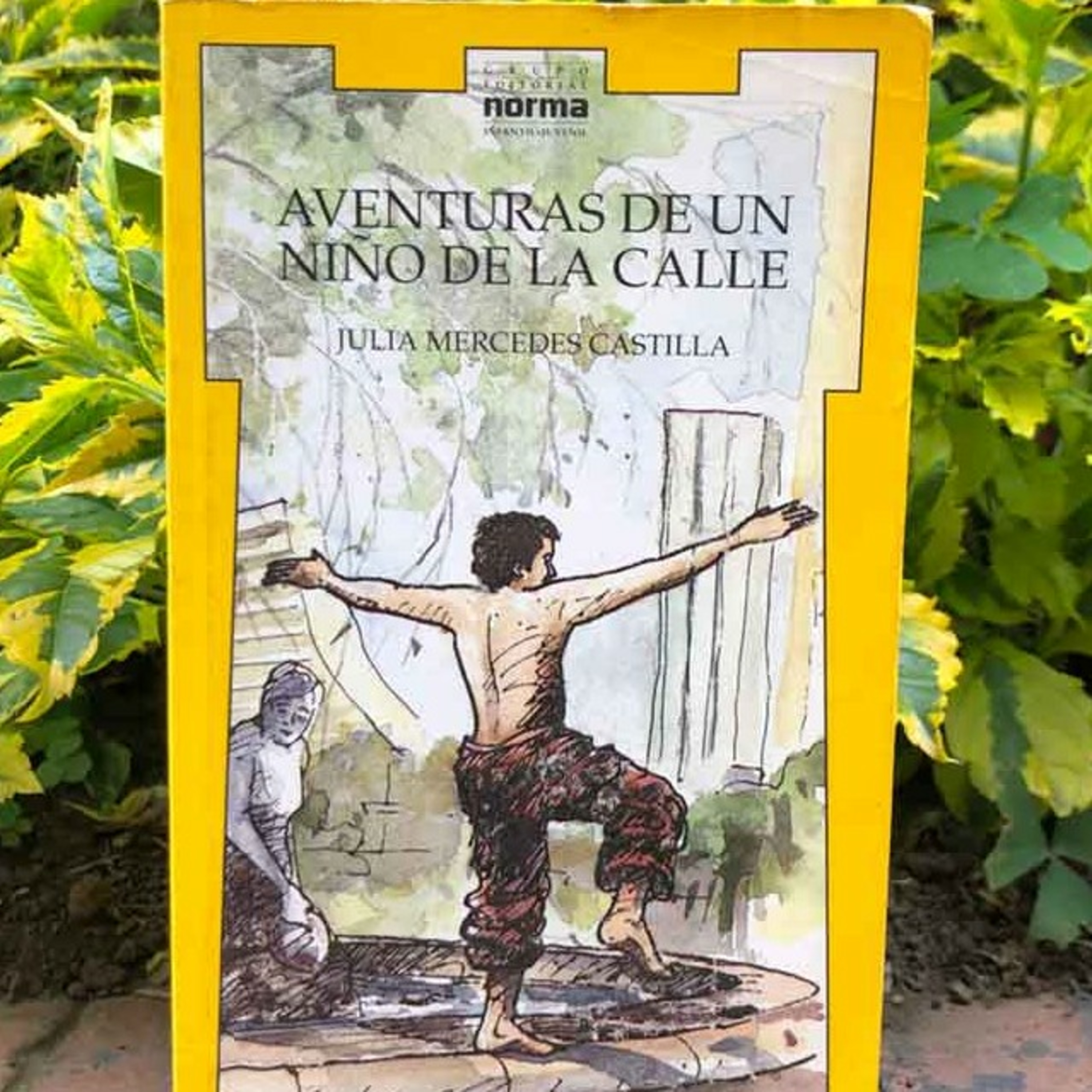 Audiolibro Aventuras de un niño de la calle - Julia Castilla - Episodio 6 episode artwork
