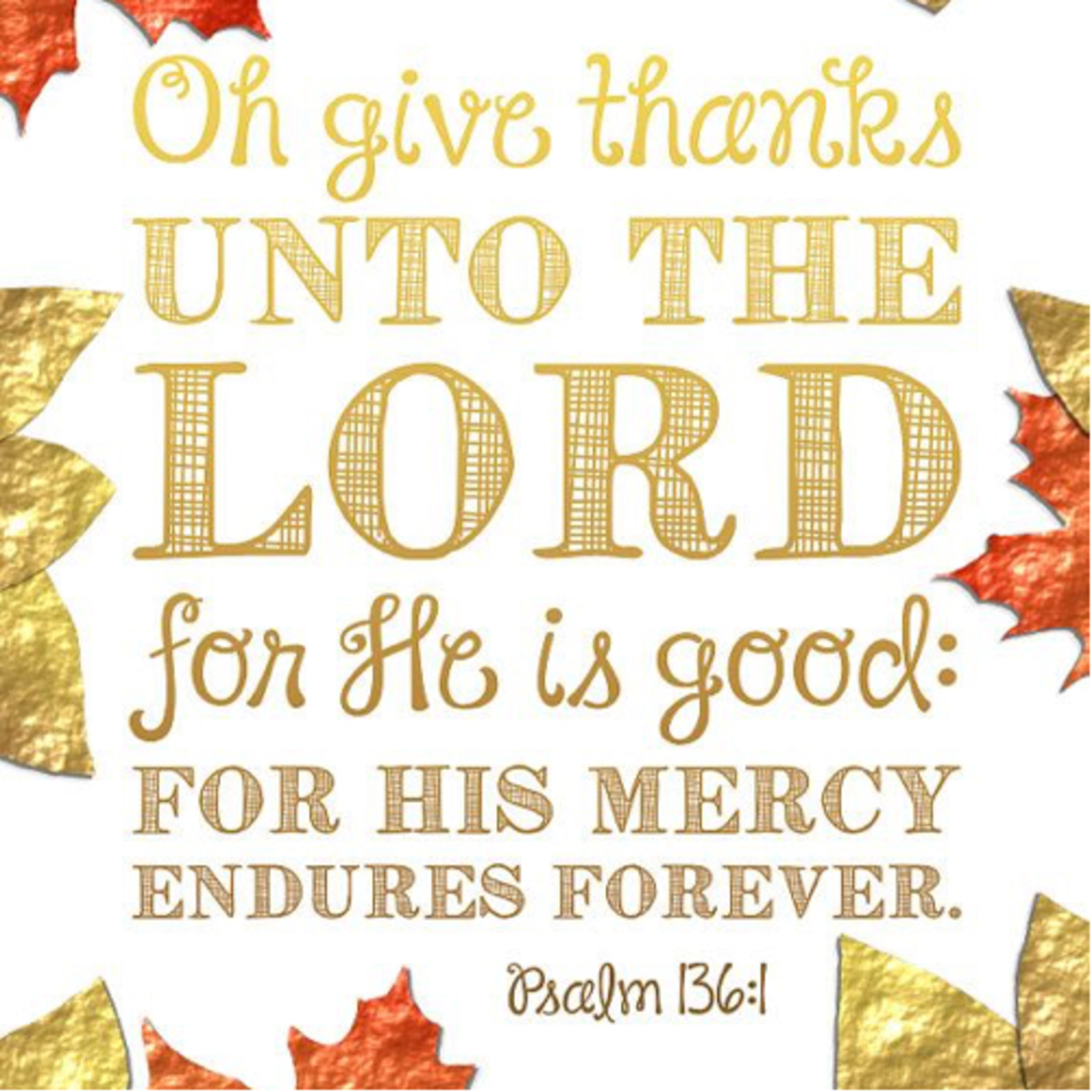 ListeningtotheechoesofDub22