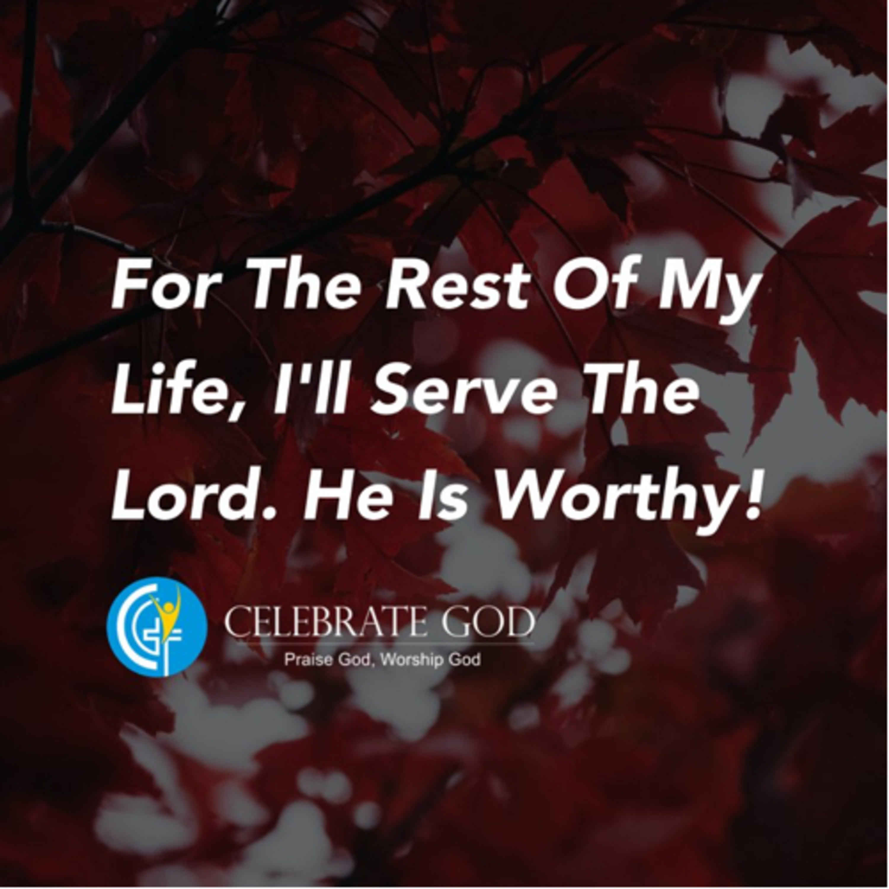 ListeningtotheechoesofDub22