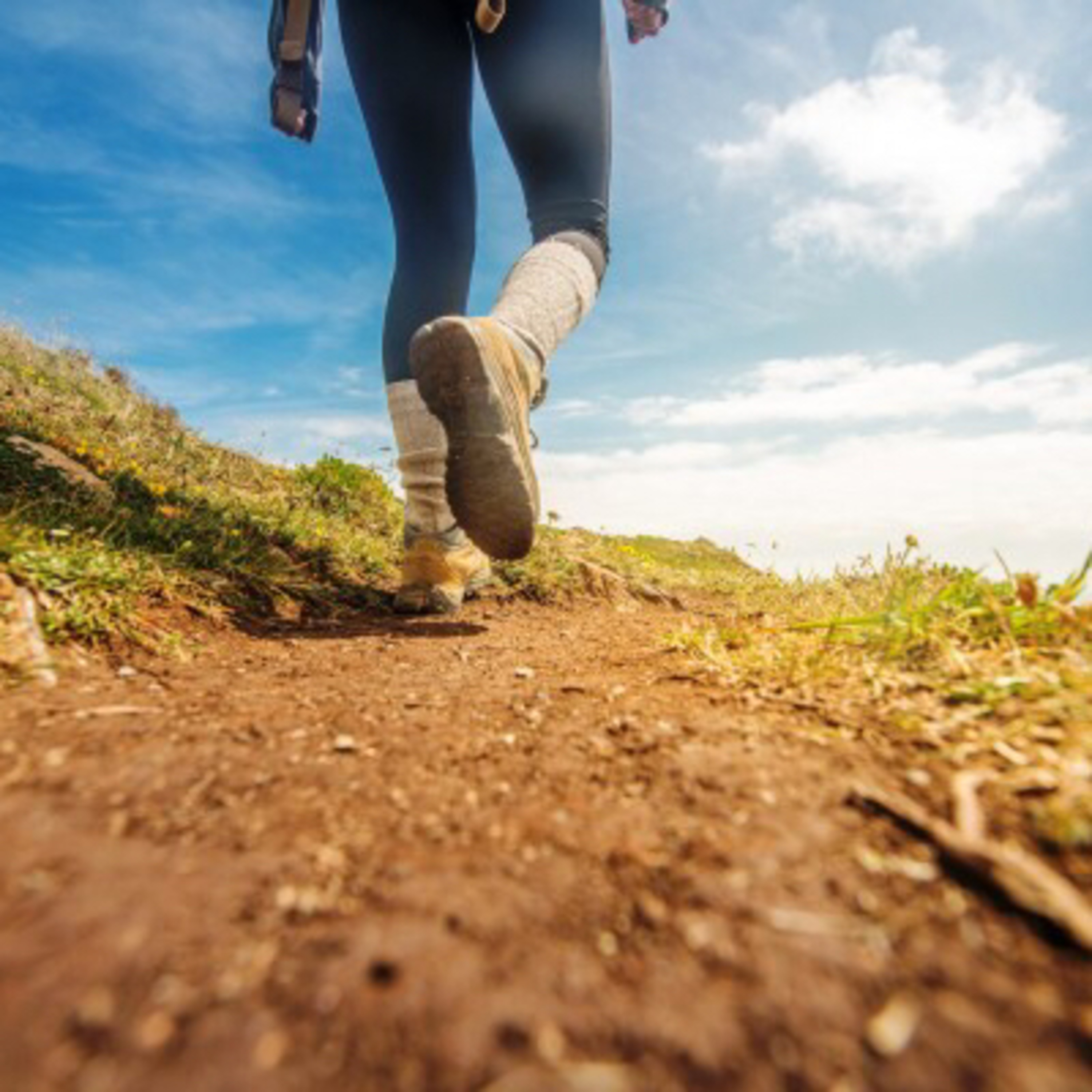 ListeningtotheechoesofDub22