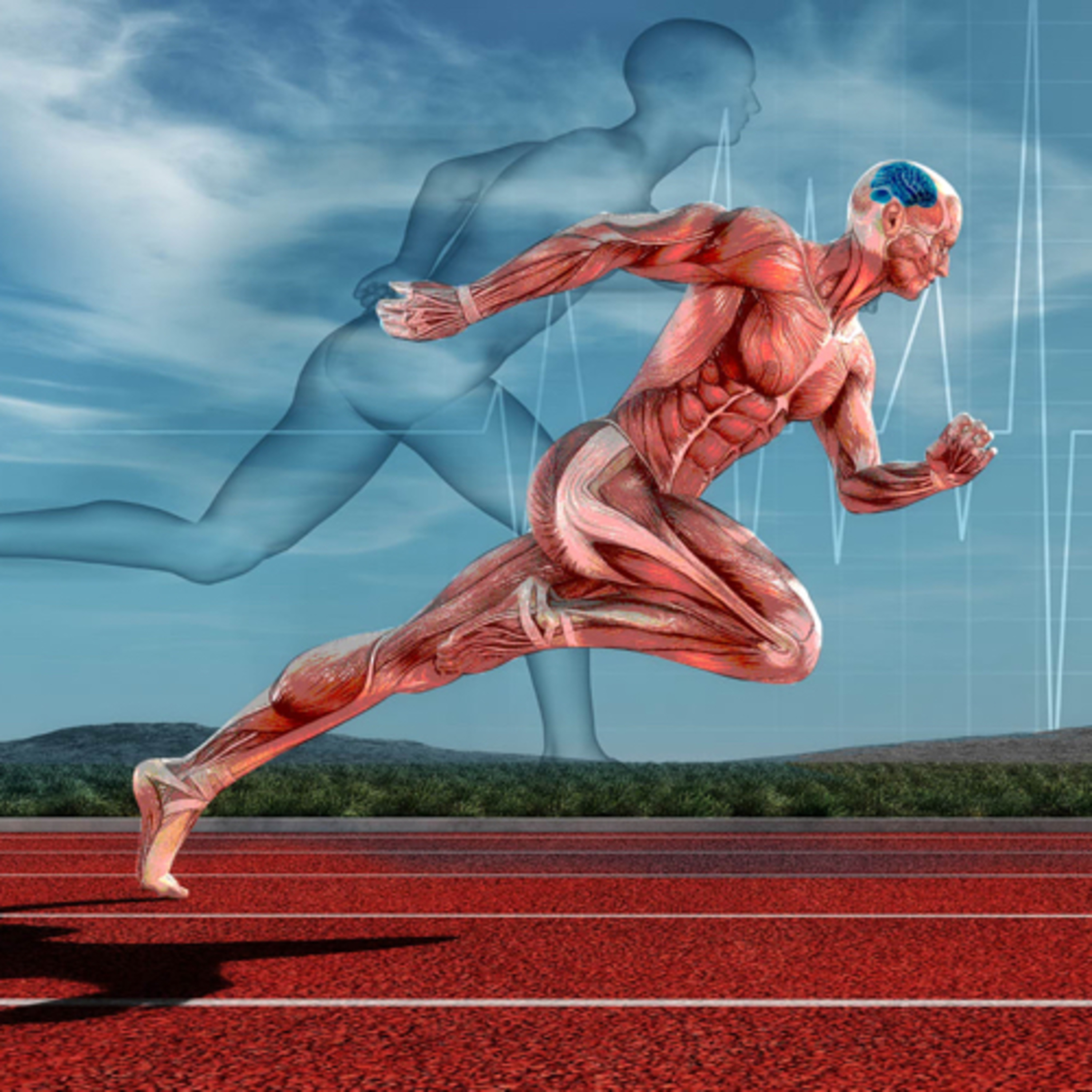 ListeningtotheechoesofDub22