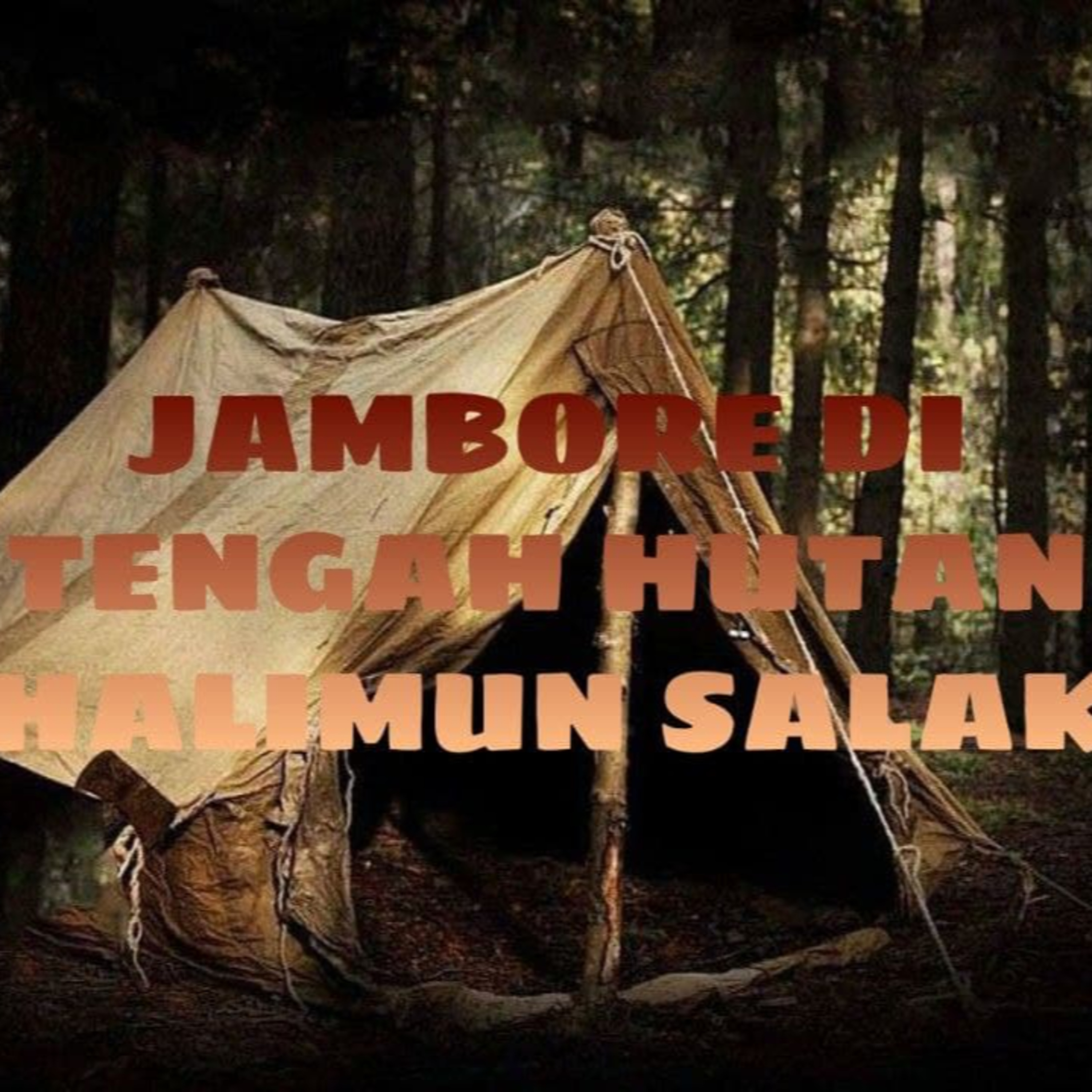 11 IPA 3 Podcast