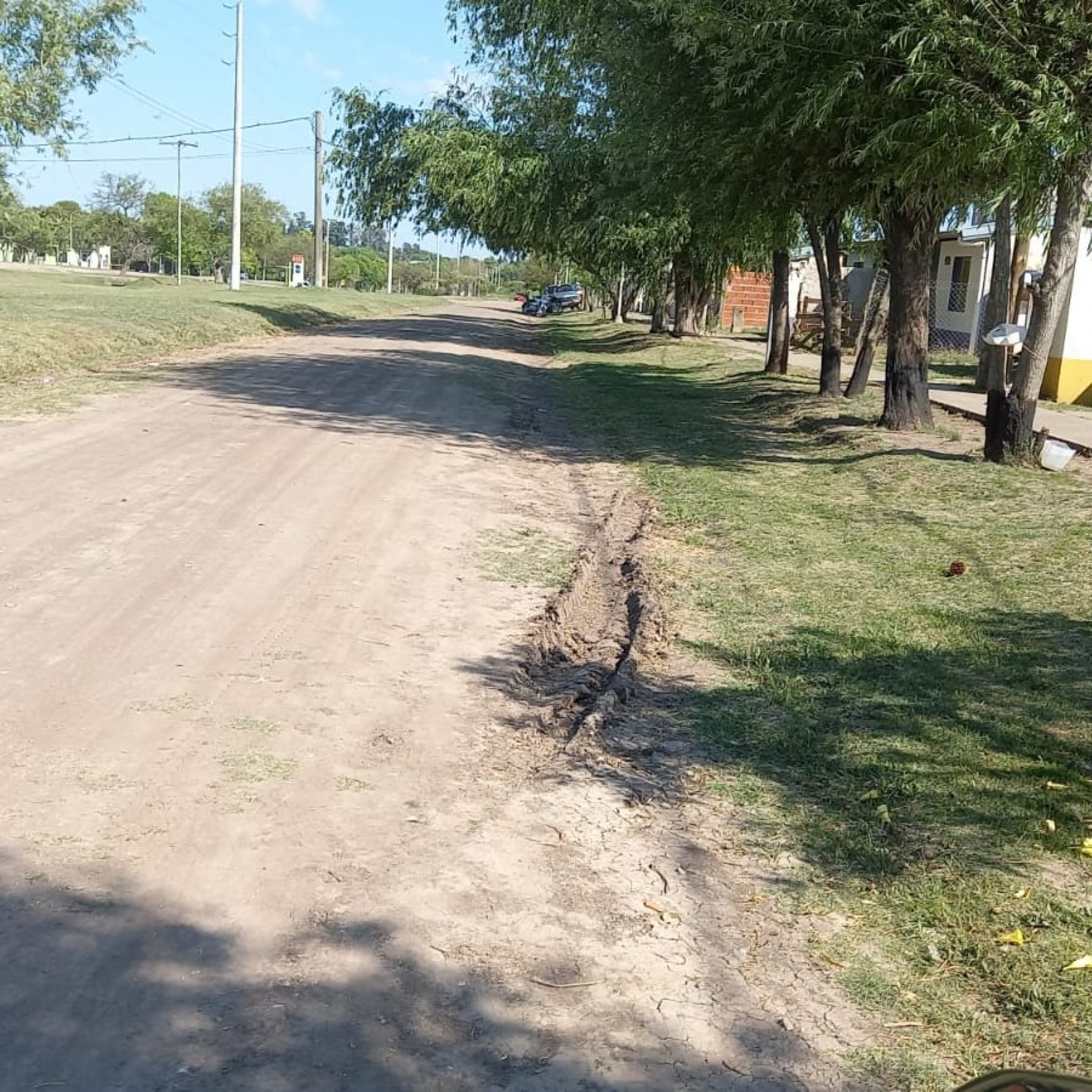 Vengo por la poesía. 