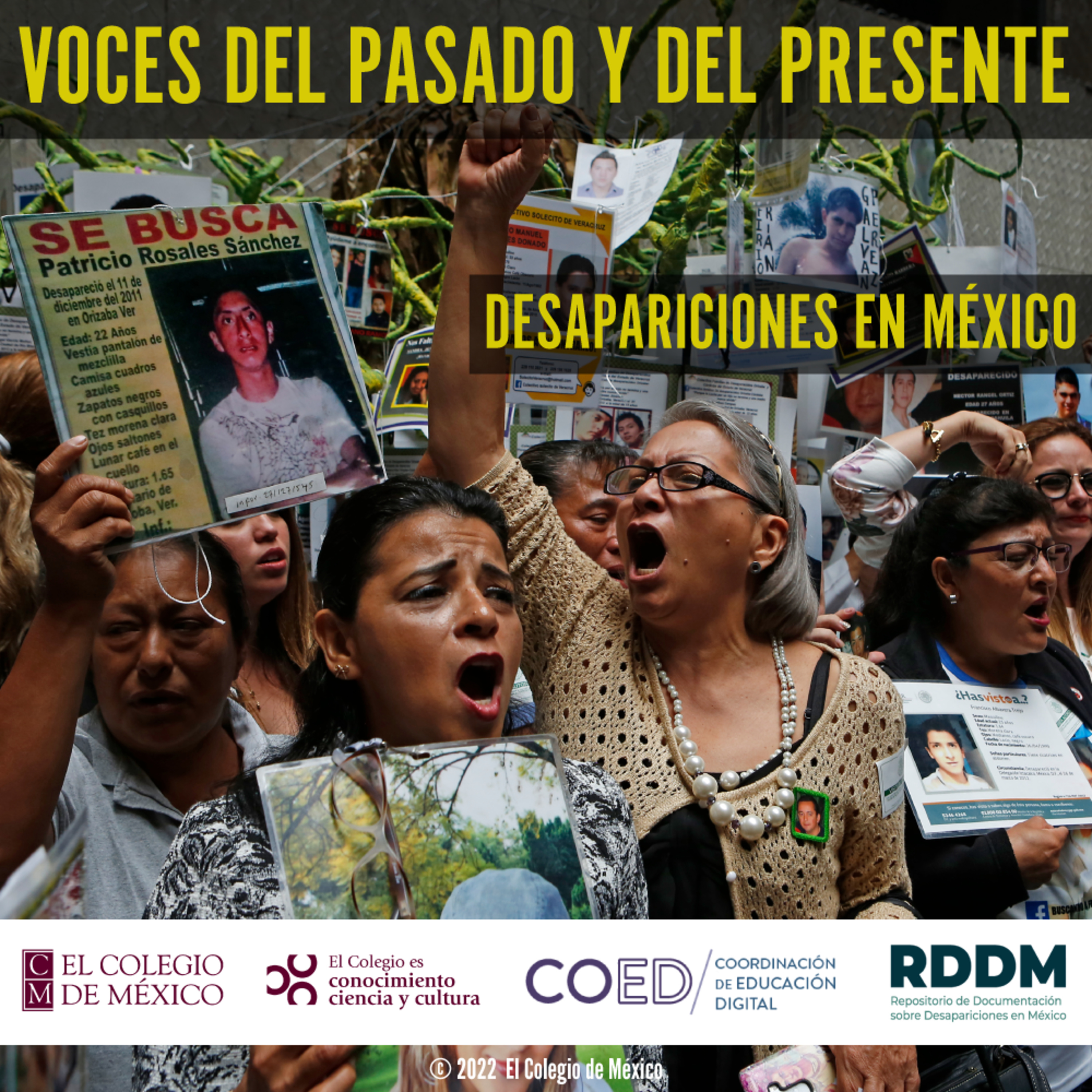 El Colmex: conocimiento, ciencia y cultura