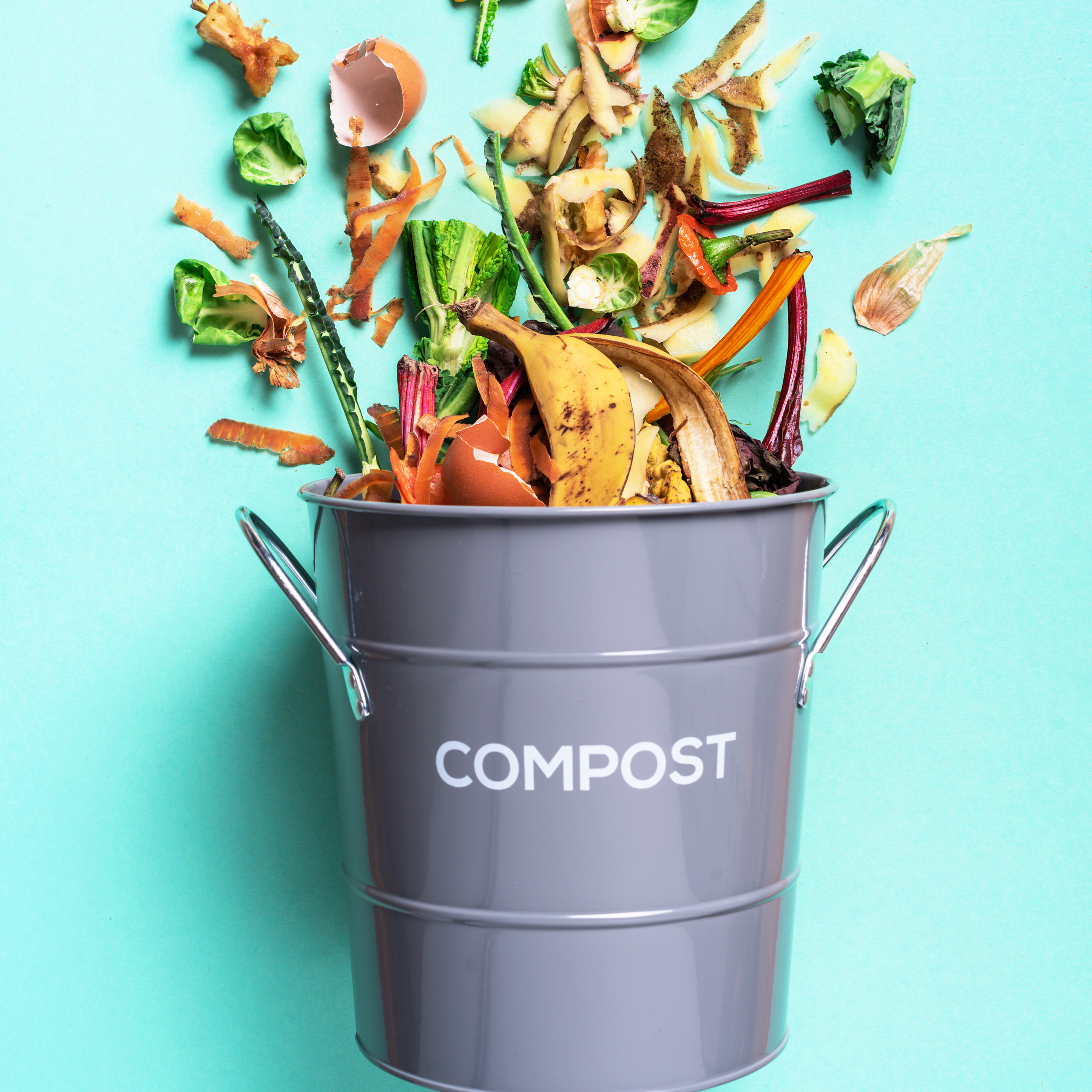 Composting: What is it?