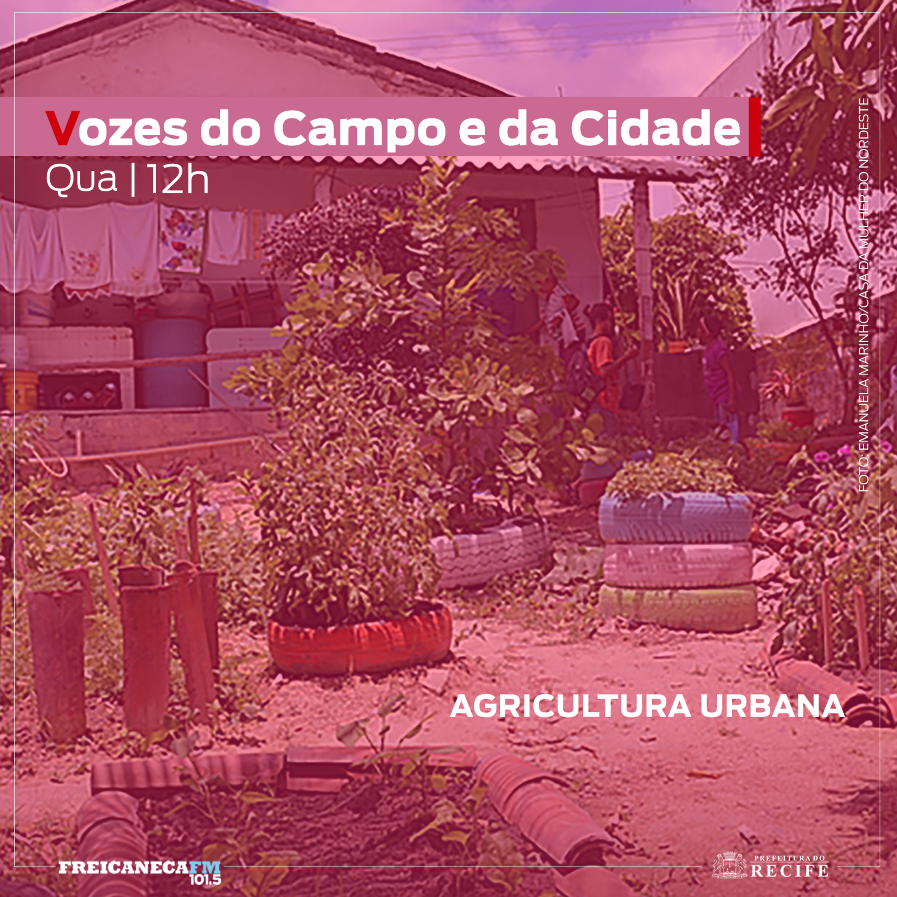 Vozes do Campo e da Cidade - Agricultura Urbana e Reaproveitamento episode artwork