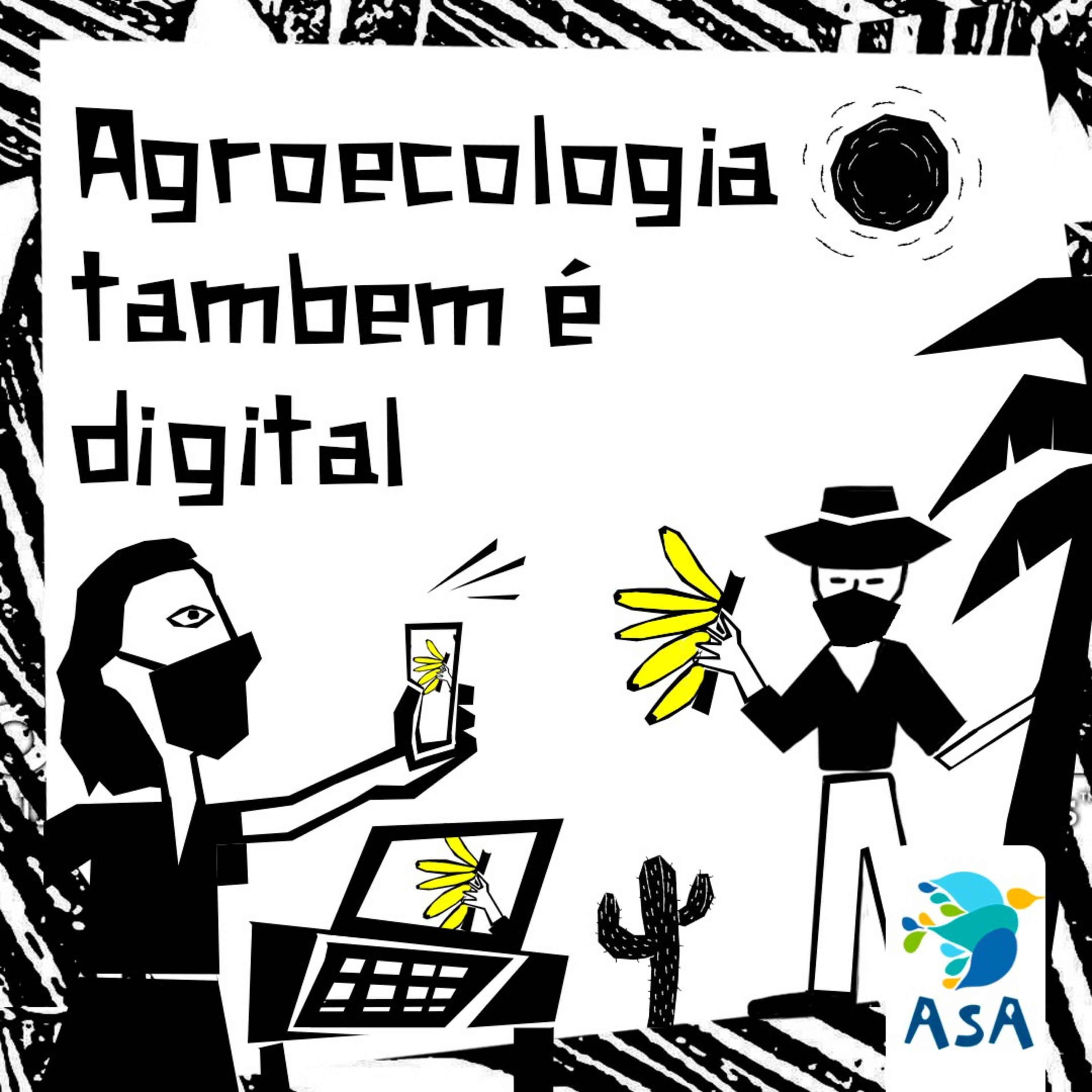 Programa “Agroecologia digital - Com ferramentas tecnológicas, Coopercuc mantém-se ativa durante a pandemia” episode artwork