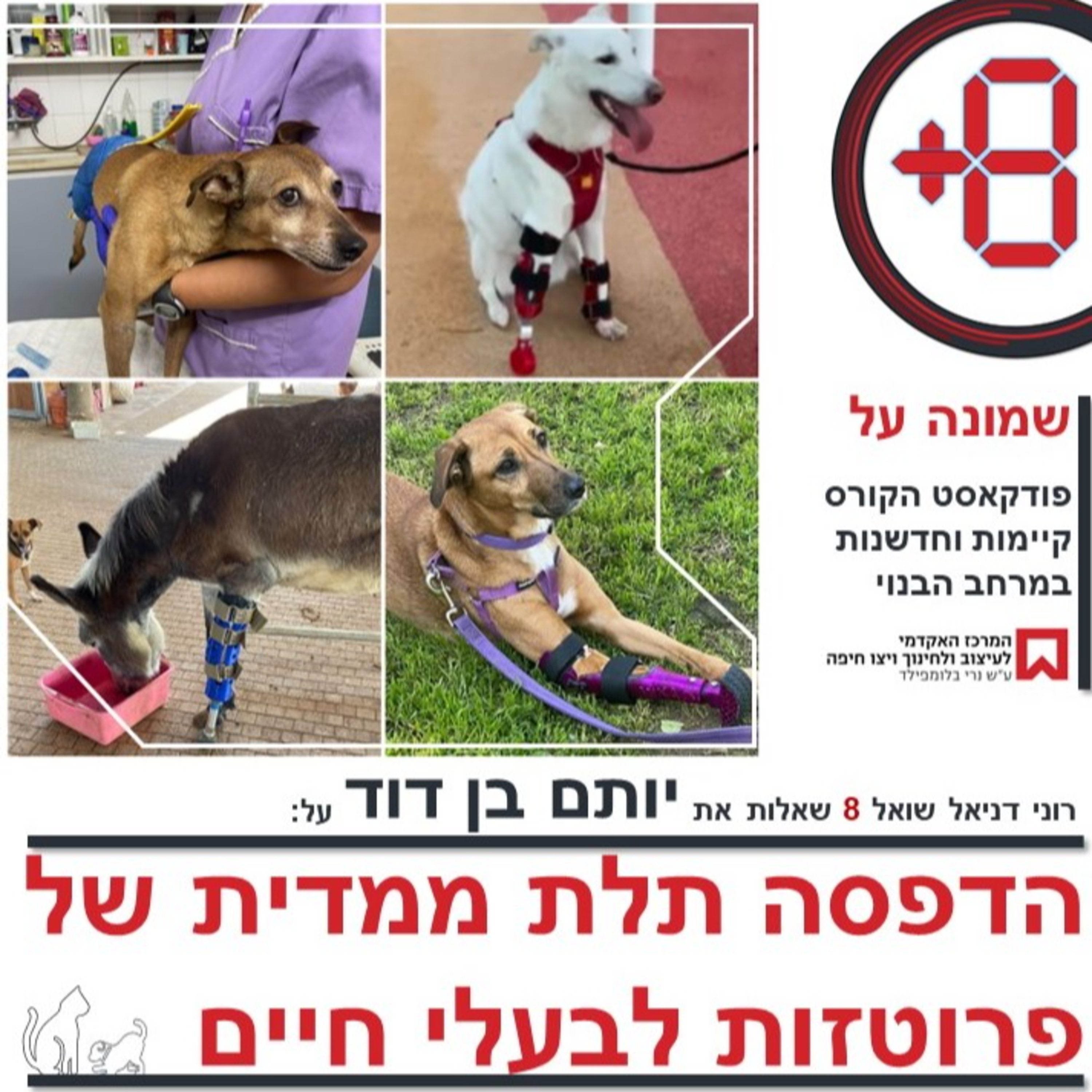 הדפסה תלת ממדית של פרוטזות לבעלי חיים | יותם בן דוד episode artwork