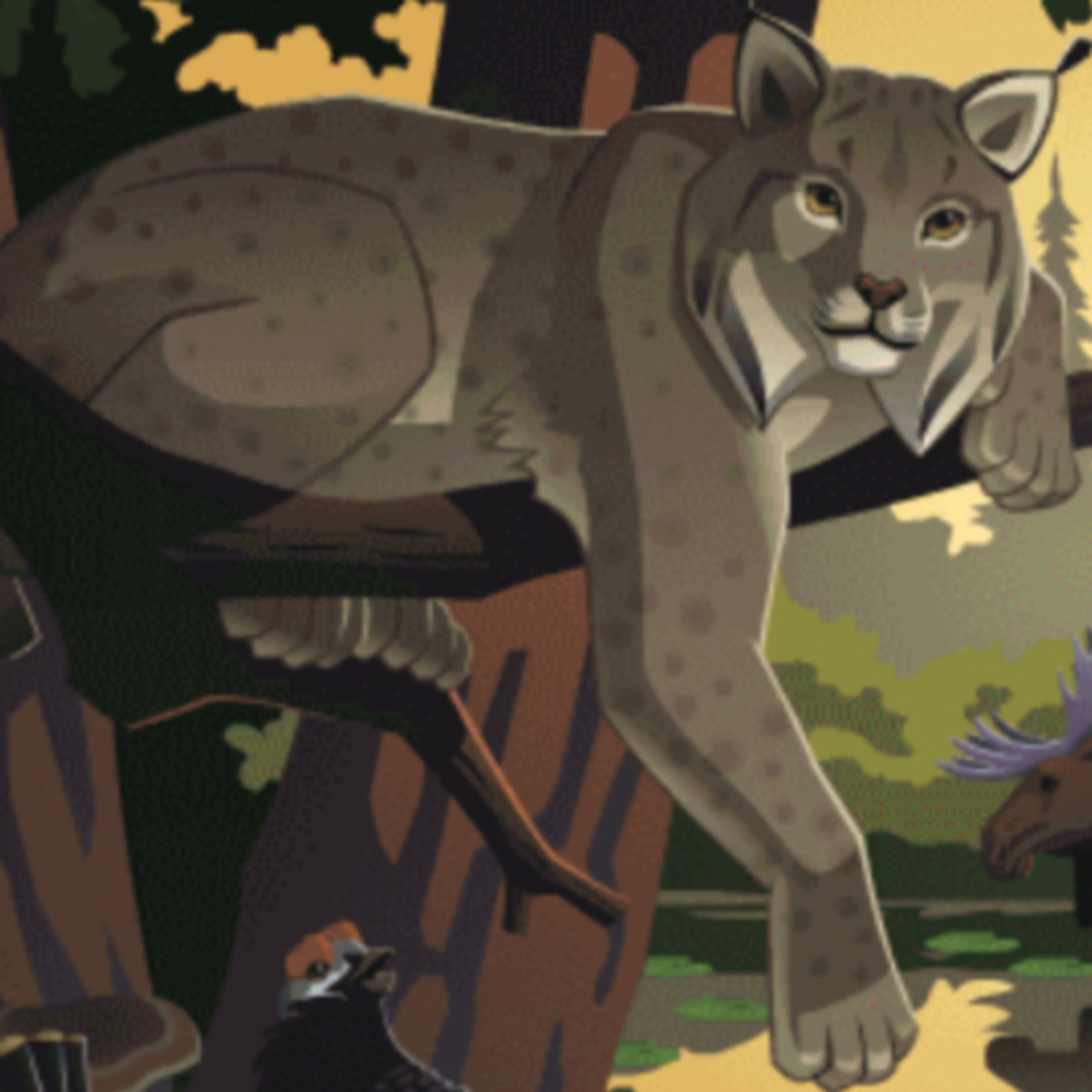 The Warrior Cats Show!