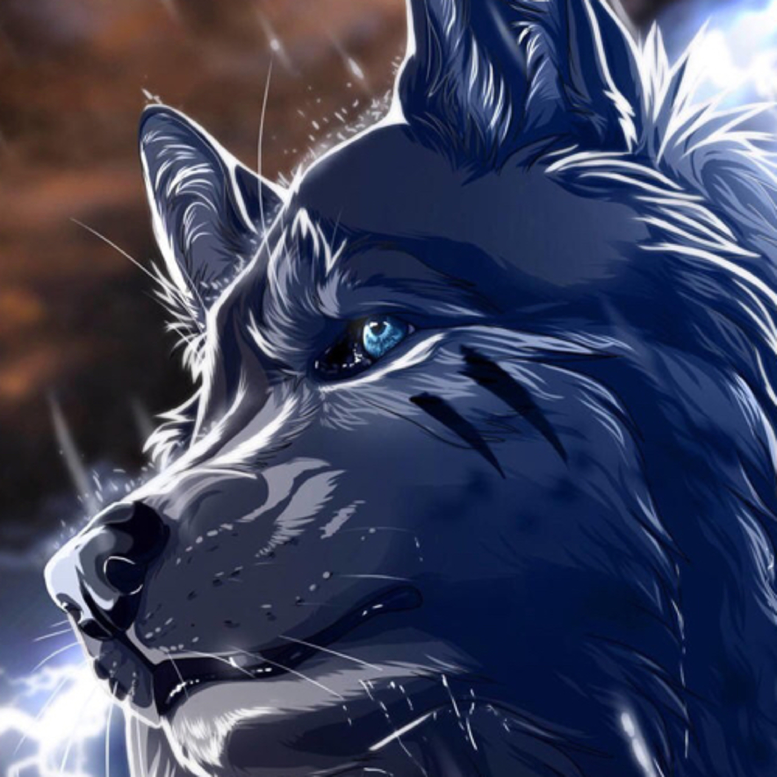 The Warrior Cats Show!