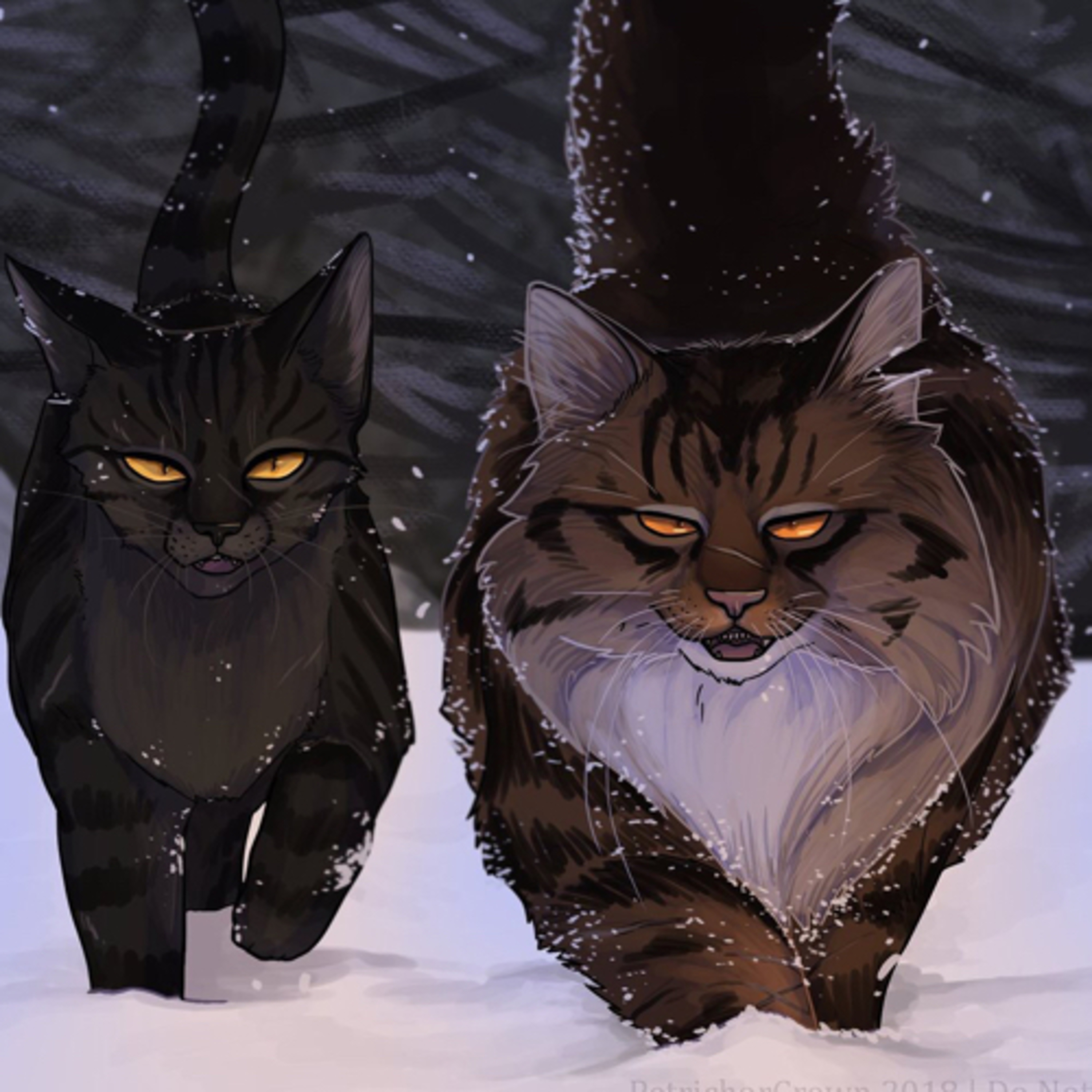 The Warrior Cats Show!