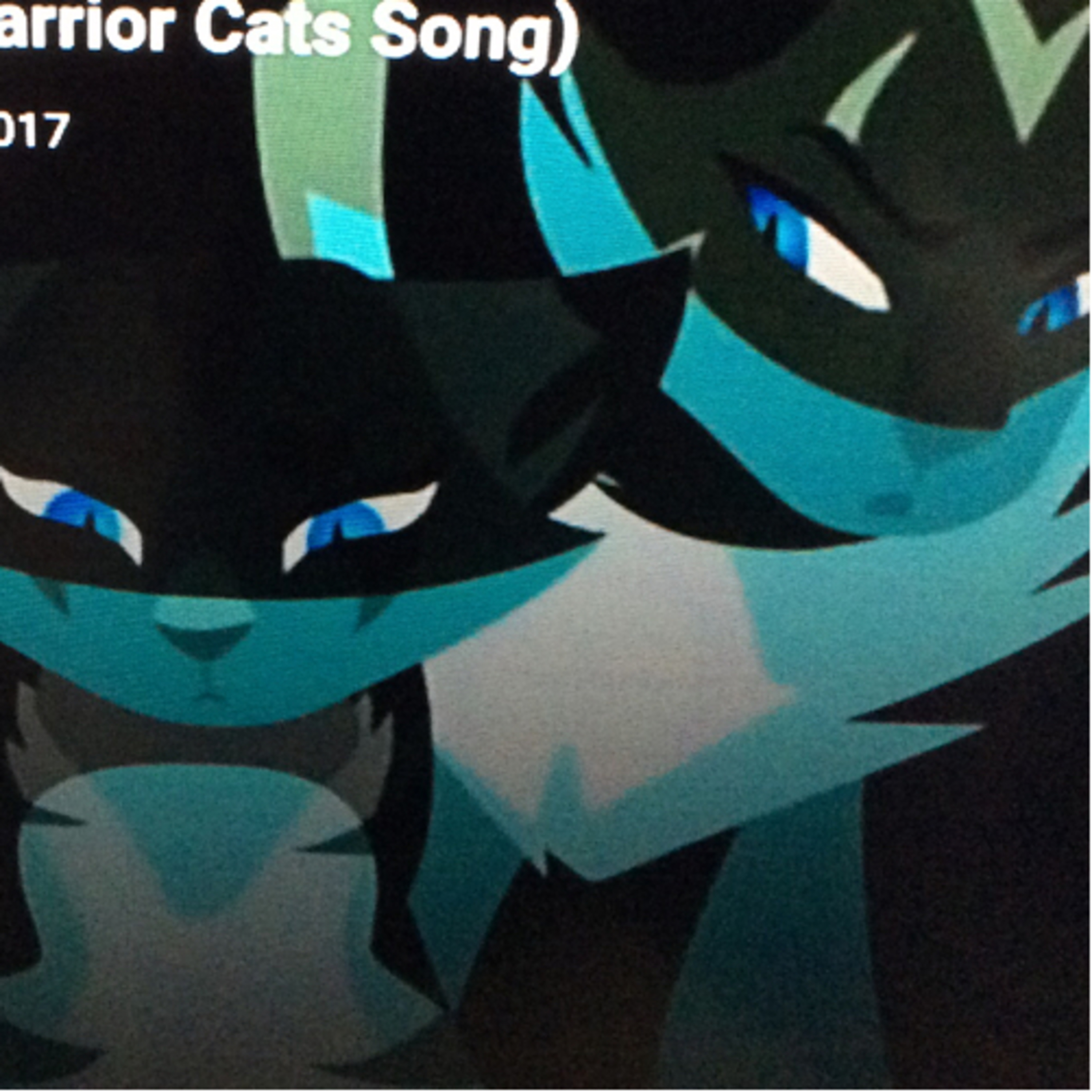 The Warrior Cats Show!