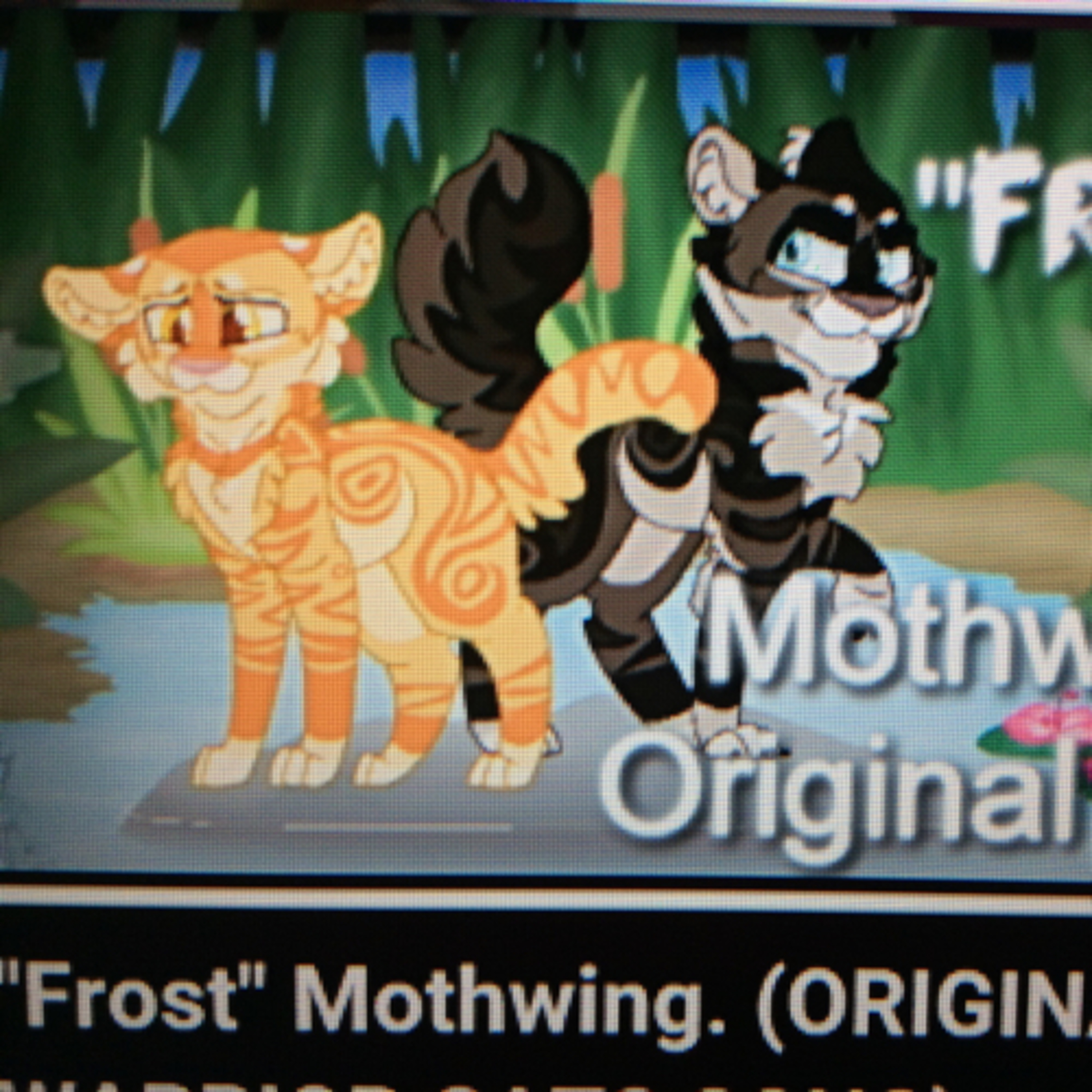 The Warrior Cats Show!
