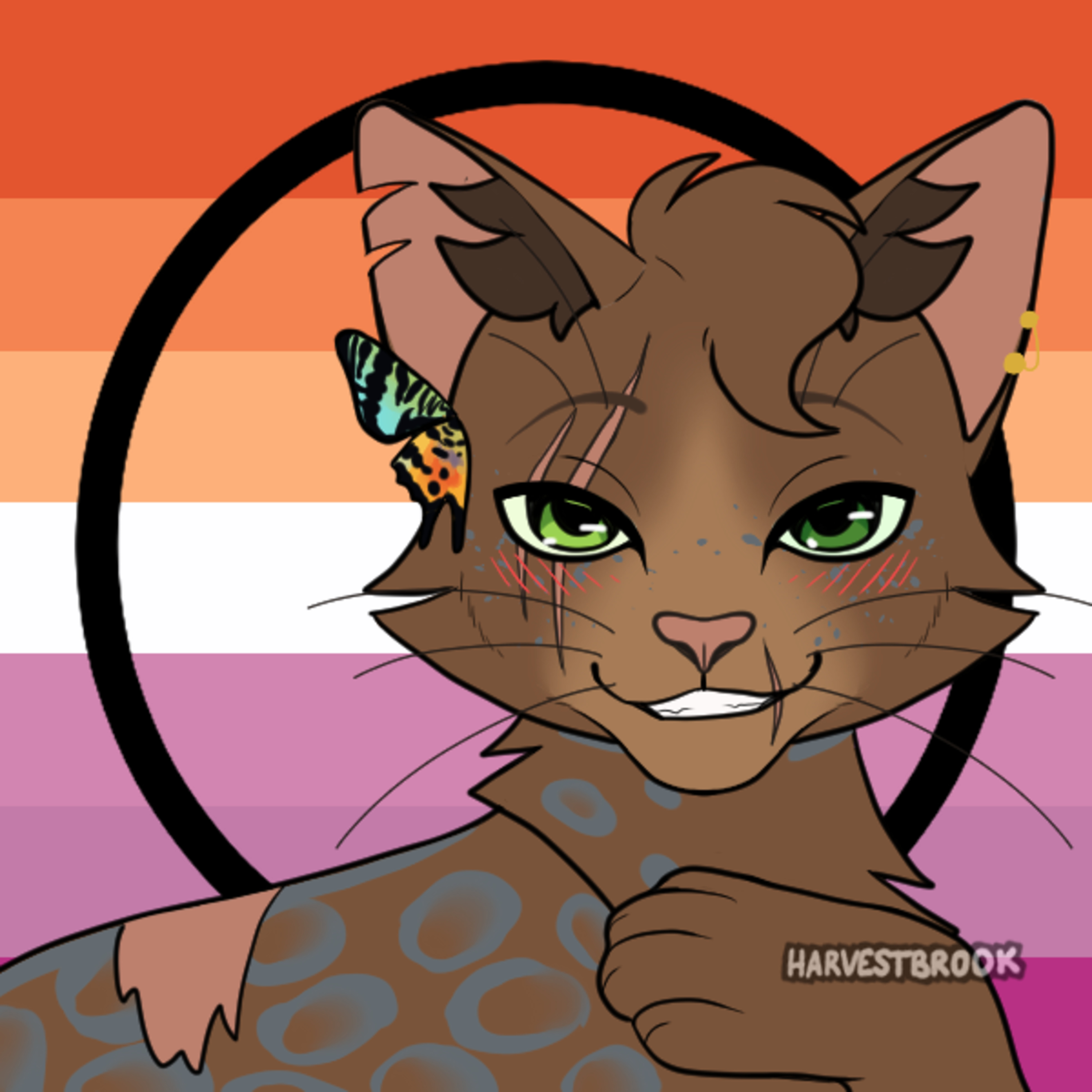 The Warrior Cats Show!