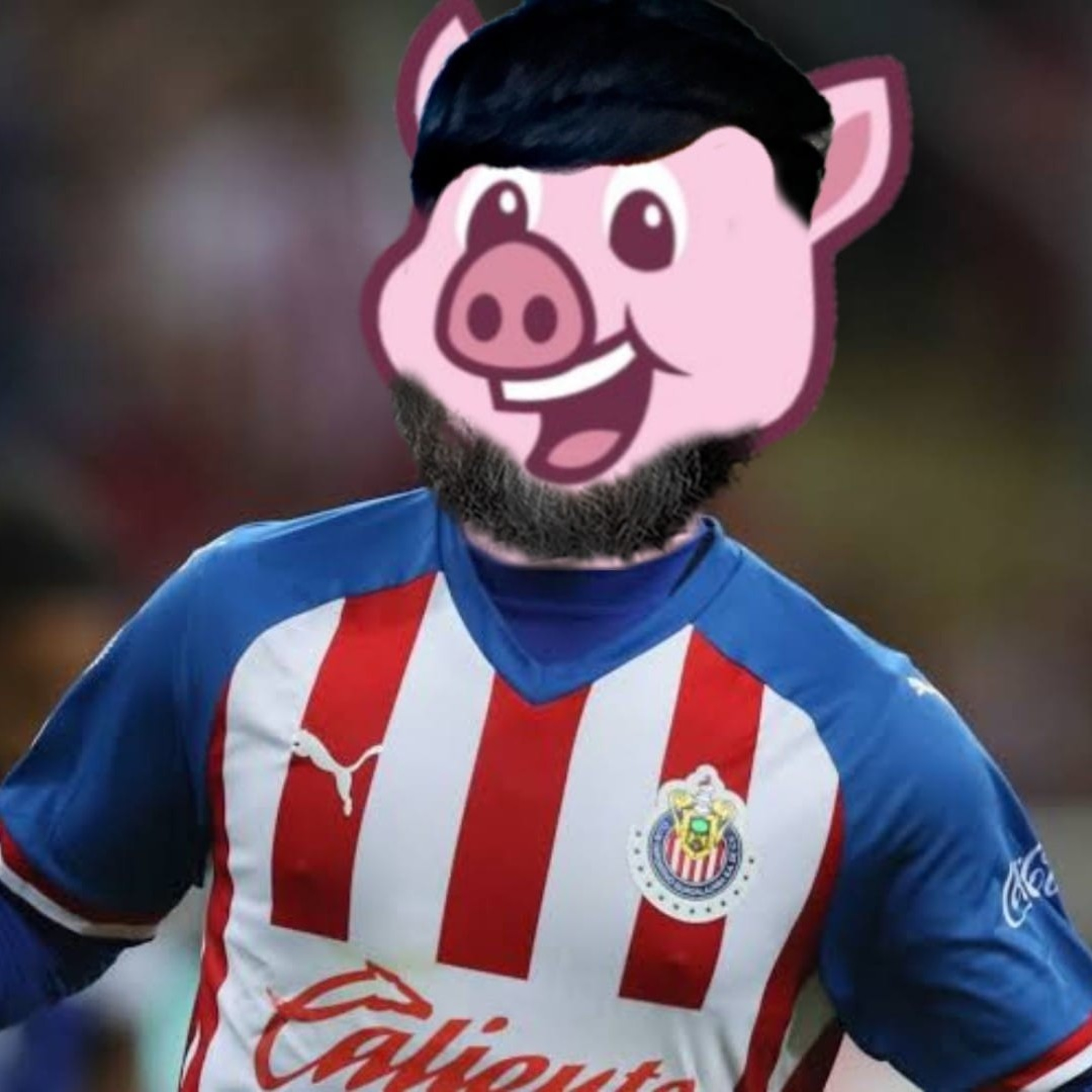 Puercosas
