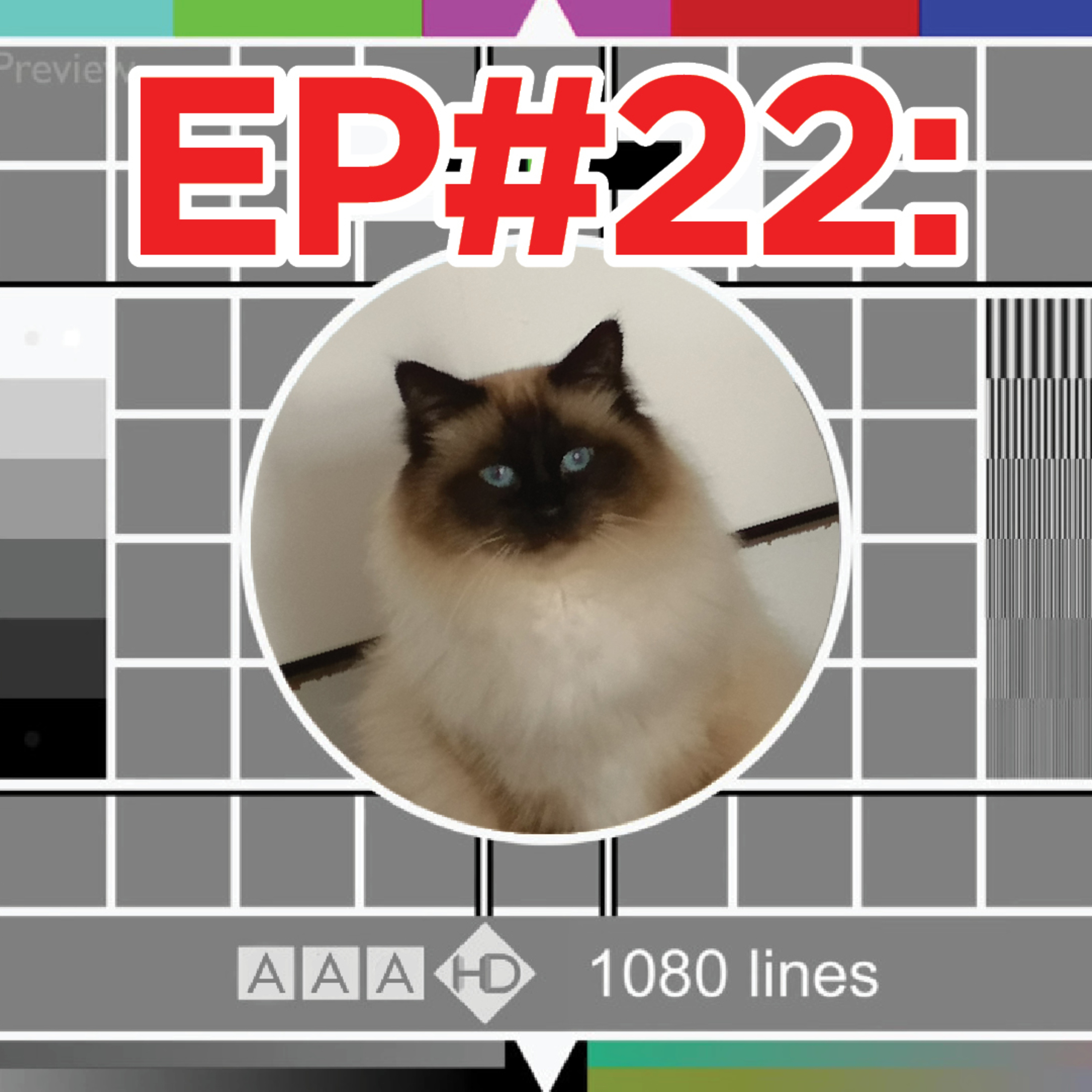 AAA Podcast - Episode #22: "Inscrutable Knot of Nonsense" episode artwork