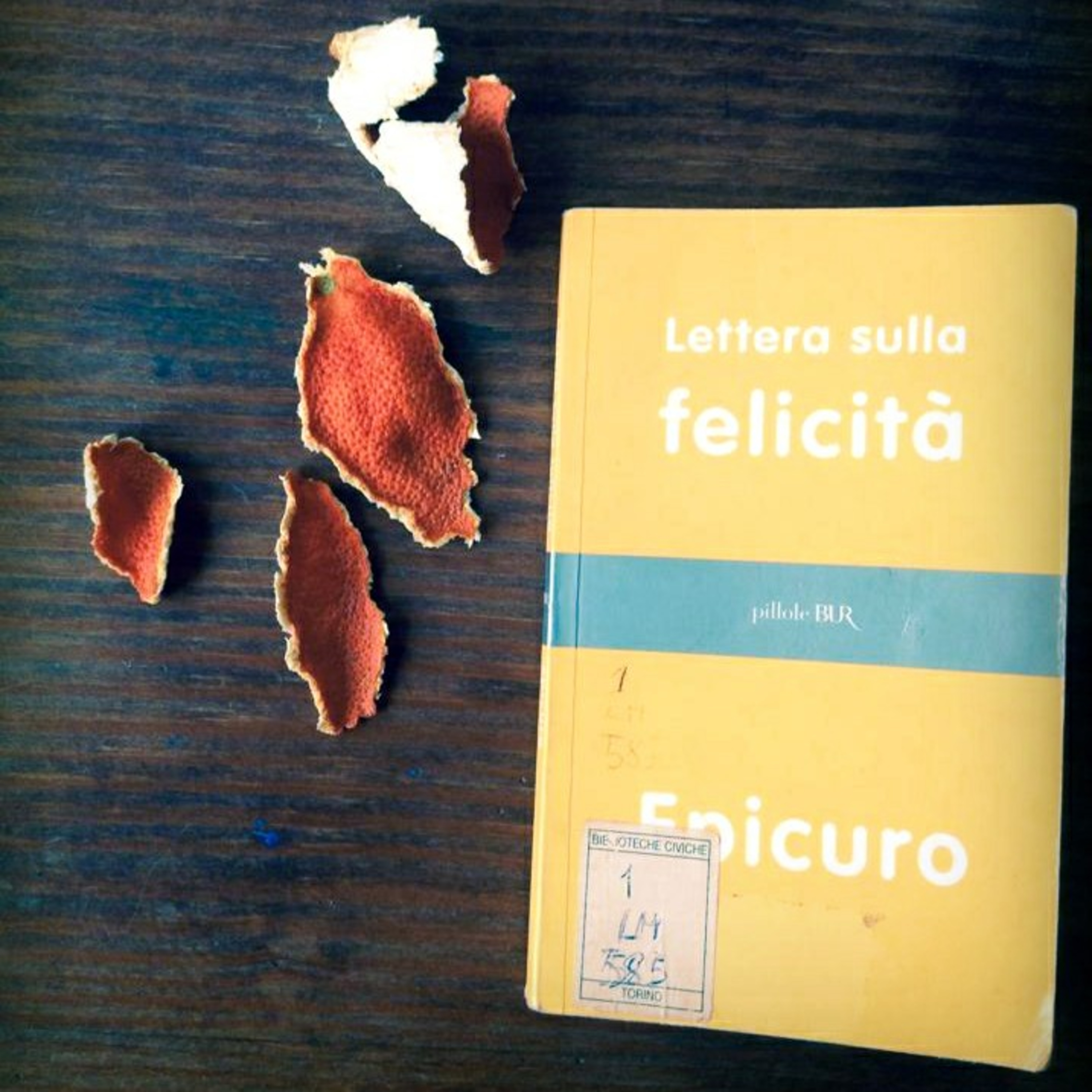 Audiolibro Lettera Sulla Felicità Epicuro