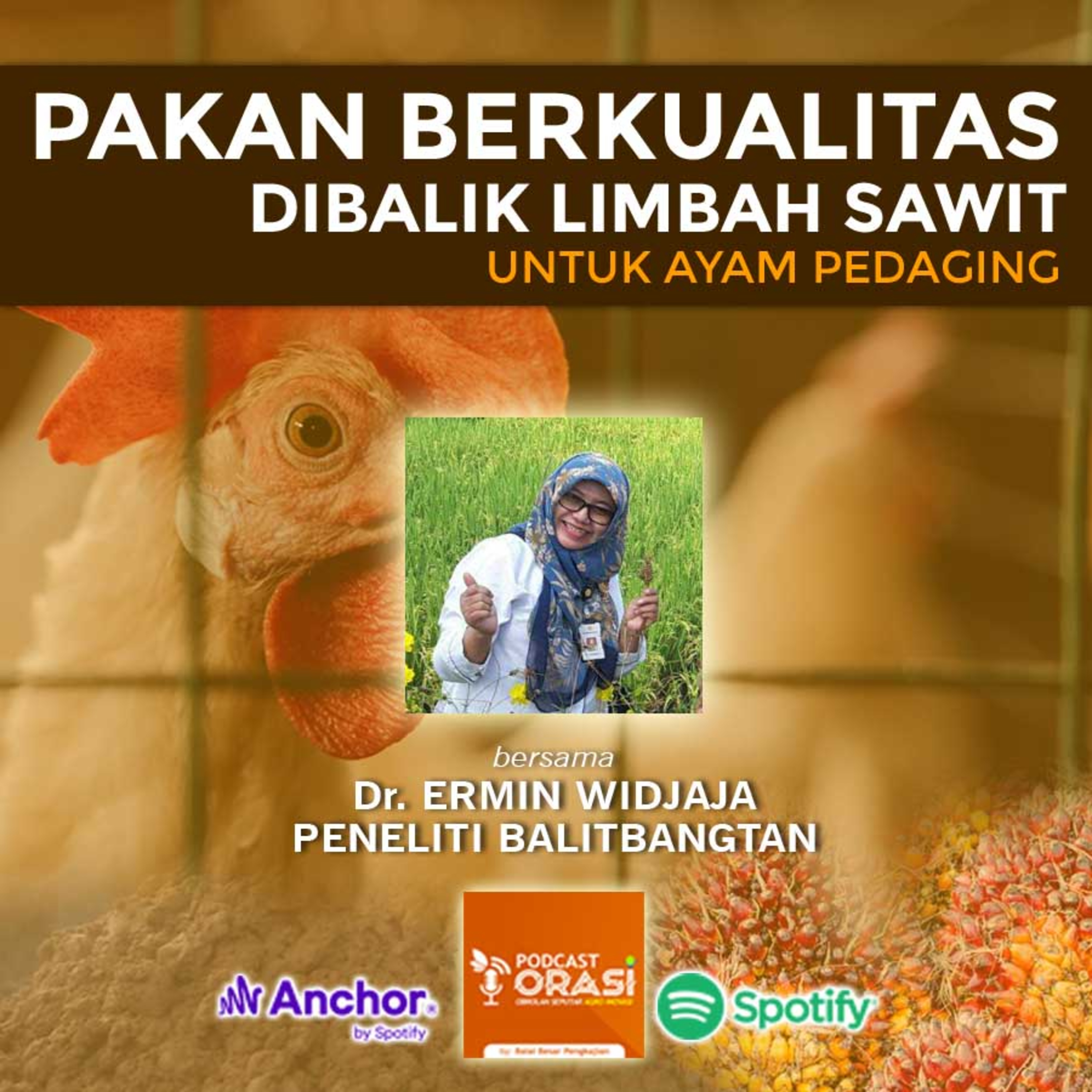 Ep. #20 - Pakan Berkualitas Dibalik Limbah Sawit untuk Ayam Pedaging episode artwork