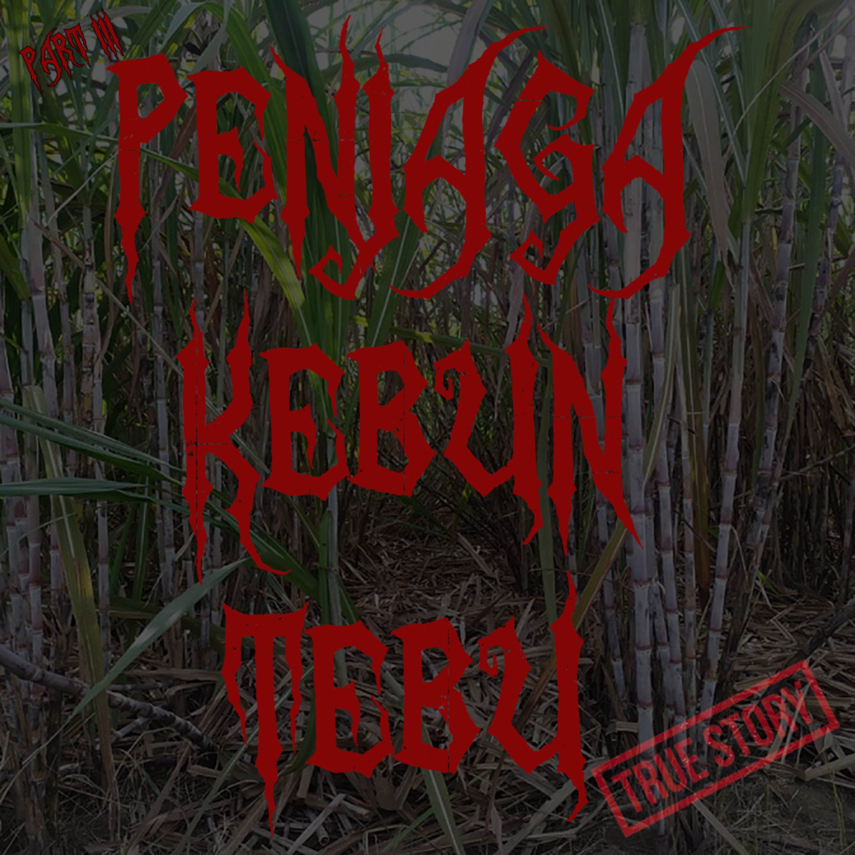 29. PENJAGA KEBUN TEBU (Part3) episode artwork