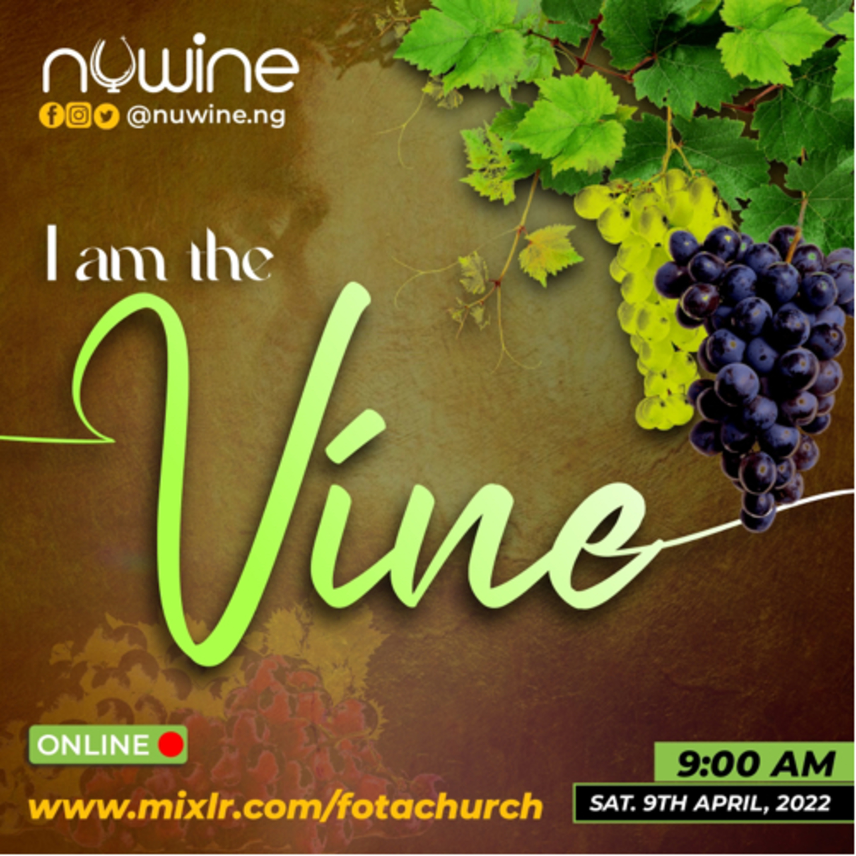 THE VINE episode artwork