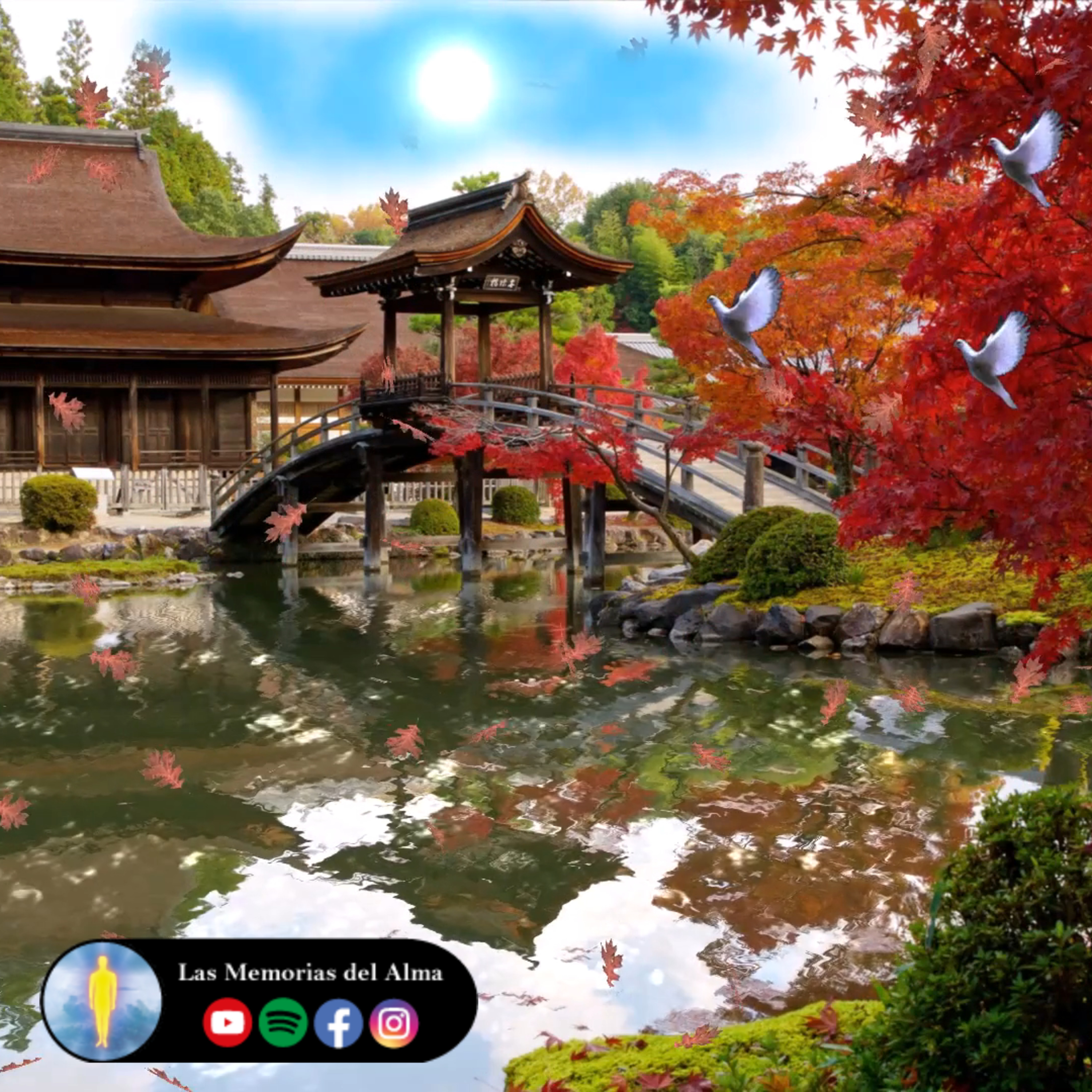 Las Cuatro Leyes Espirituales que Todo lo Rigen