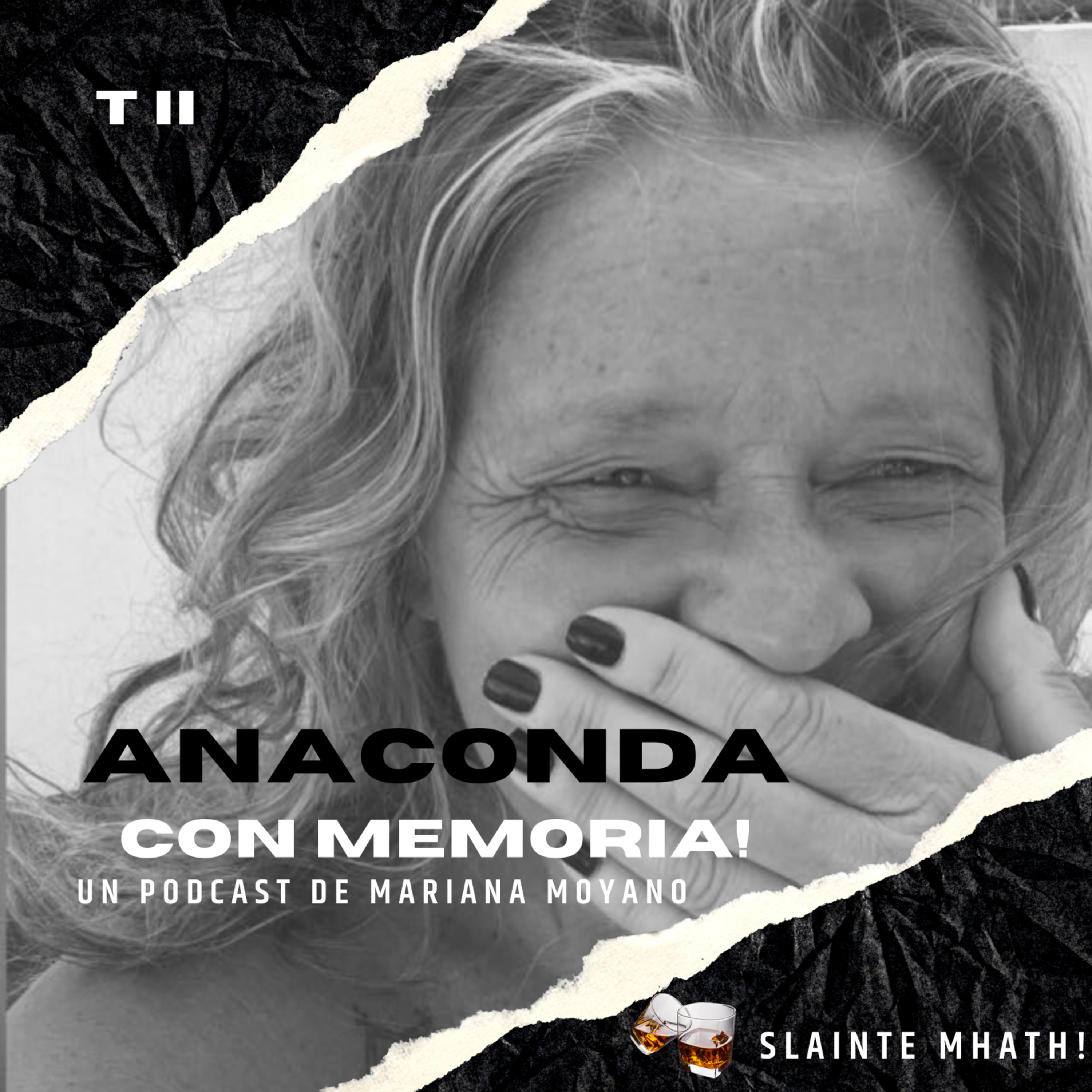 Anaconda con memoria