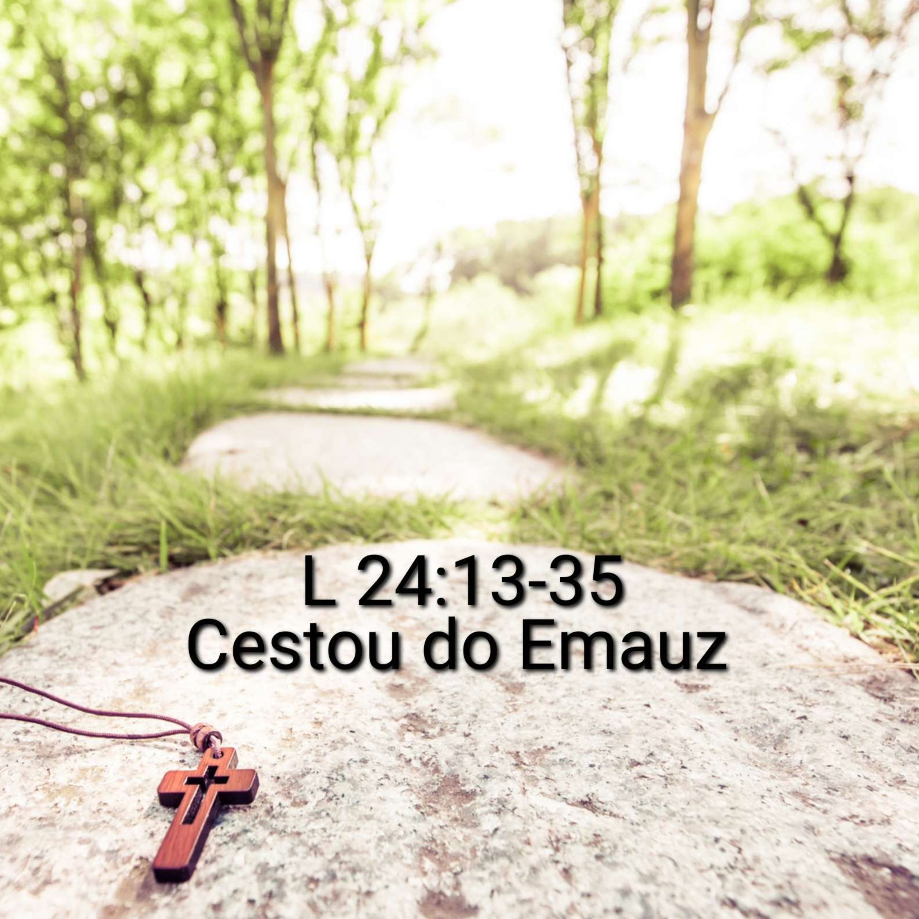 Úvahy a Modlitby nad Biblí