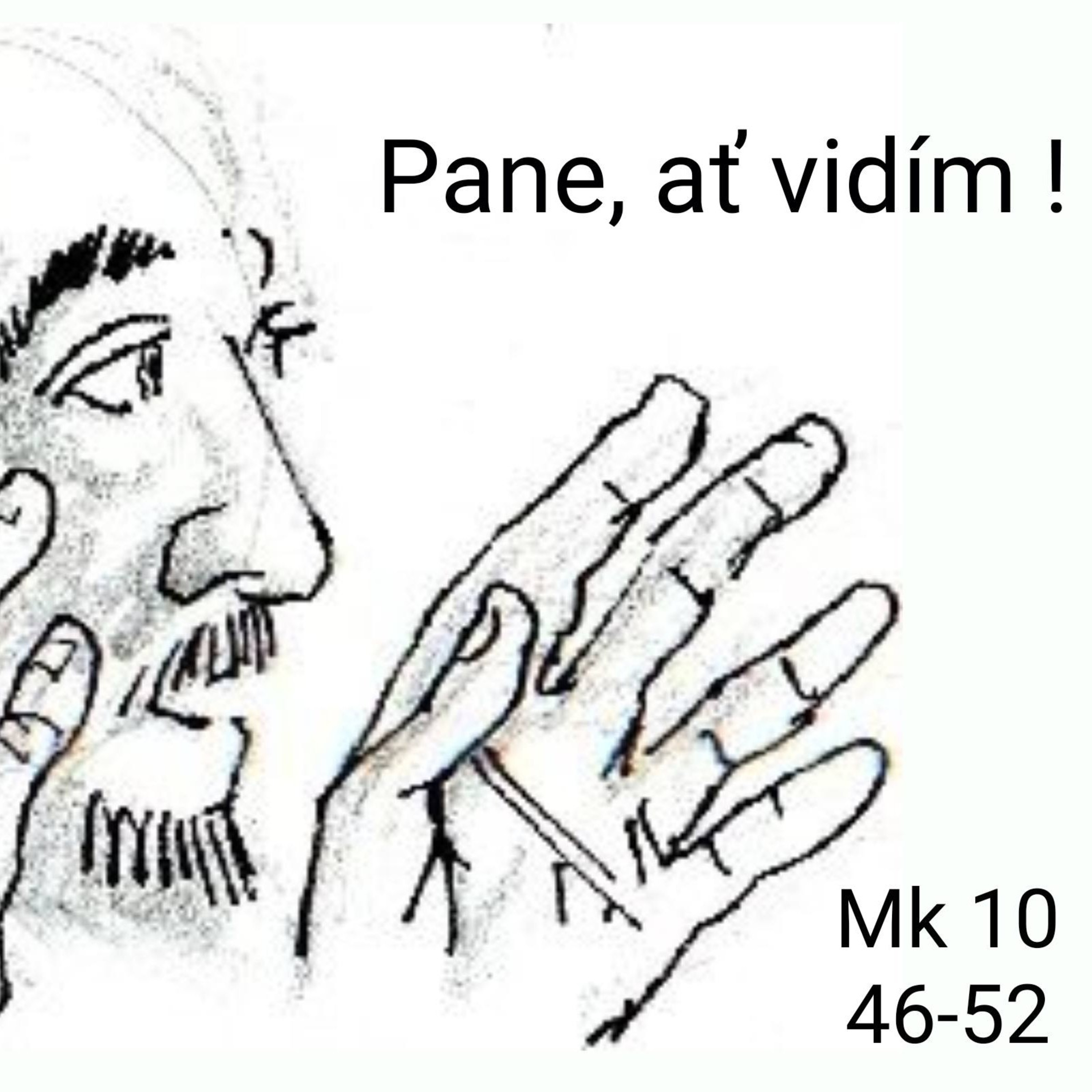 Úvahy a Modlitby nad Biblí