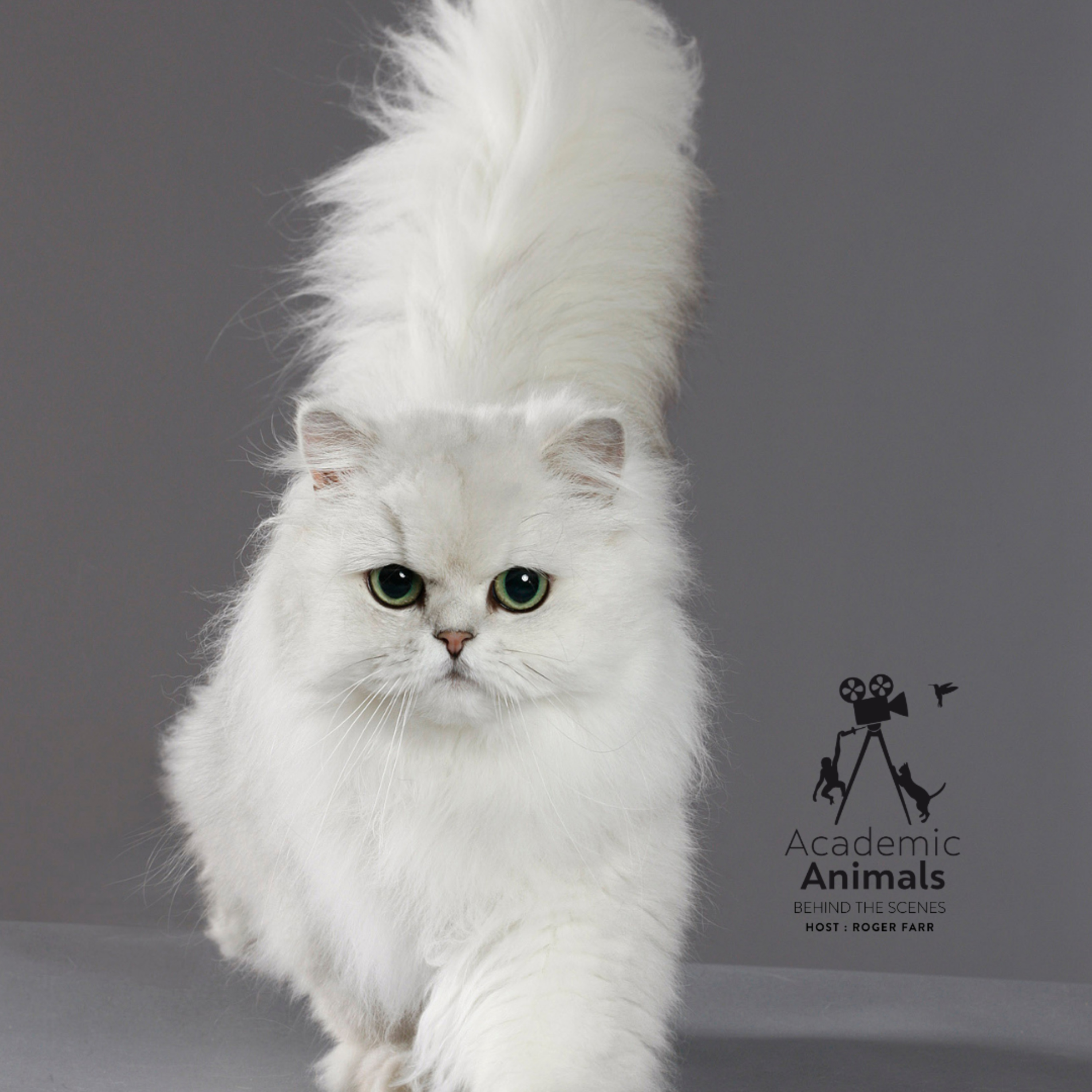 Academic Animals | Behind the Scenes - Hair, Makeup & Special Effects episode artwork