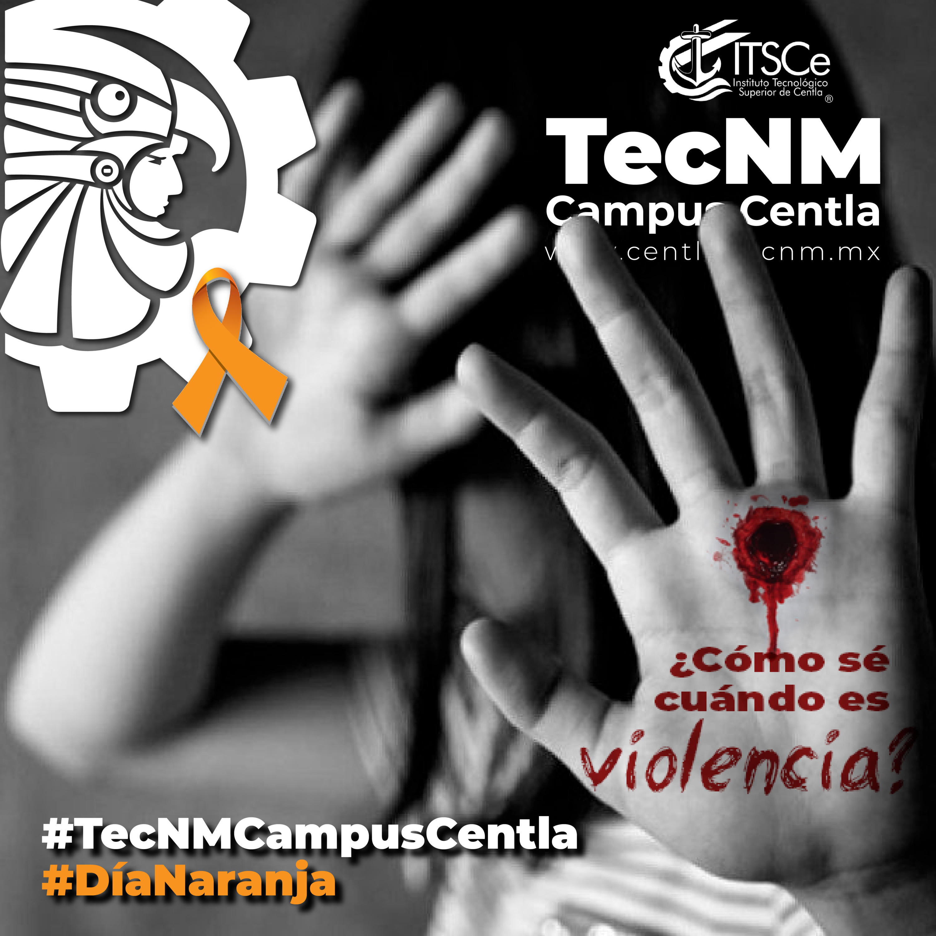 TecNM - Centla