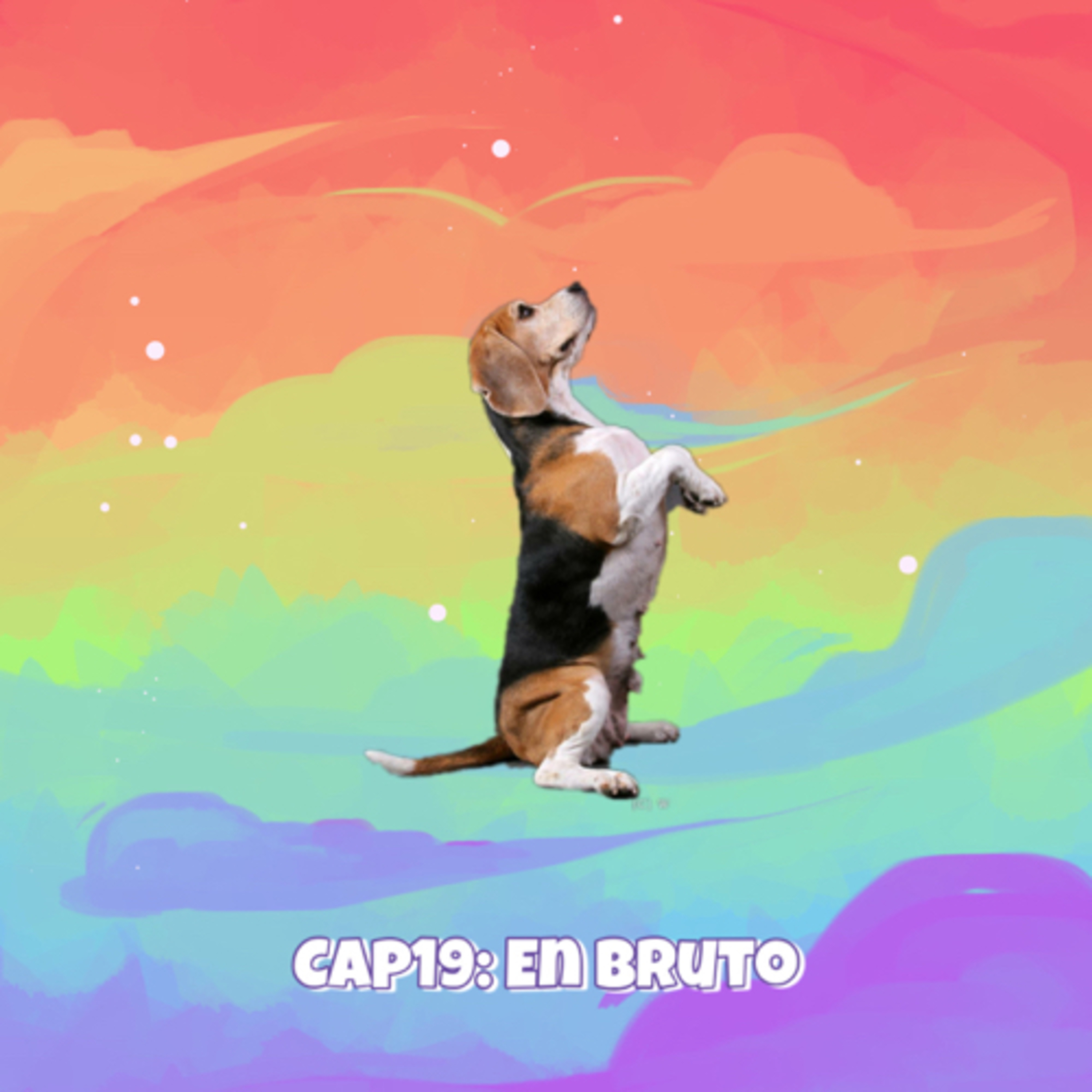 Cap19: En Bruto episode artwork