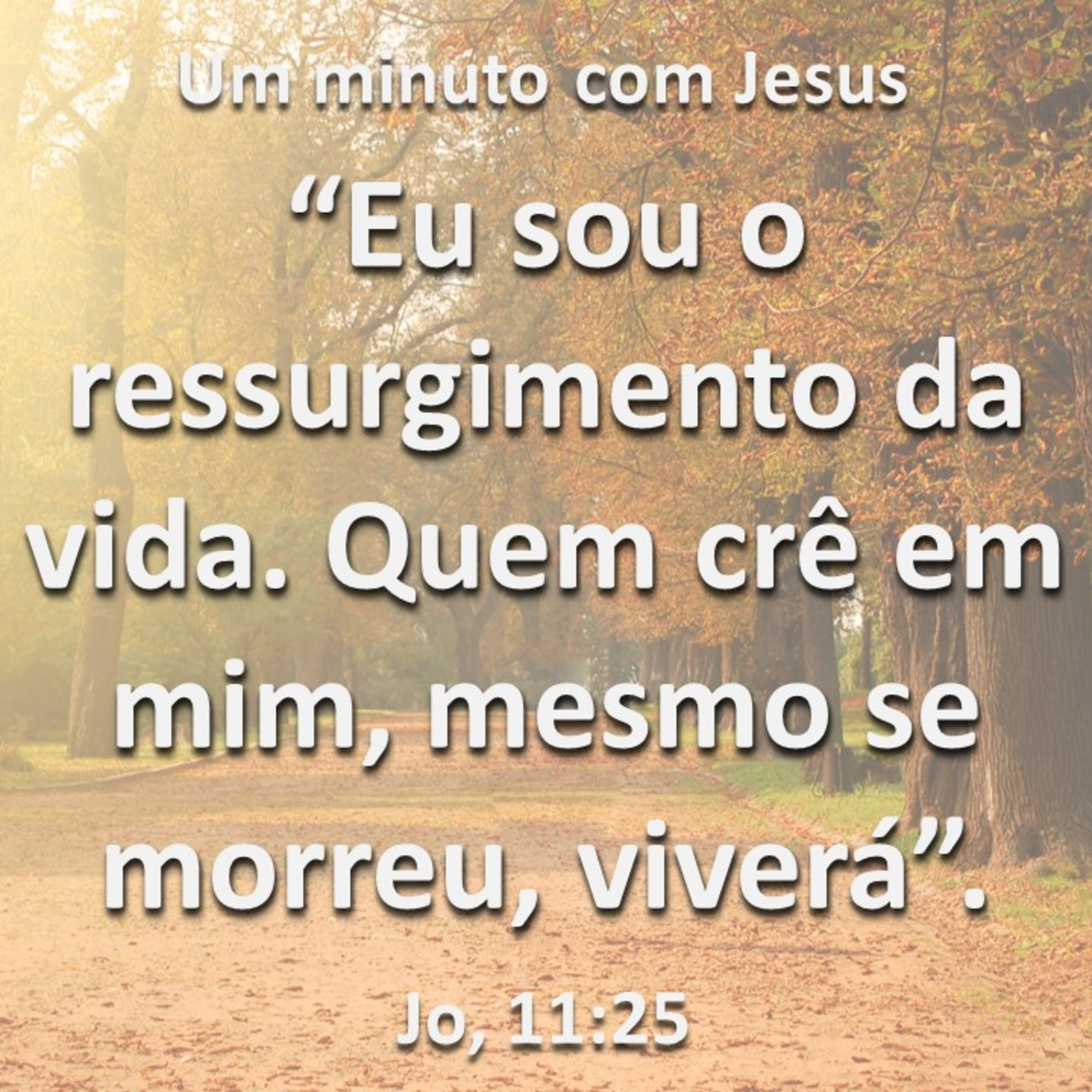 Um minuto com Jesus - João 11:25
