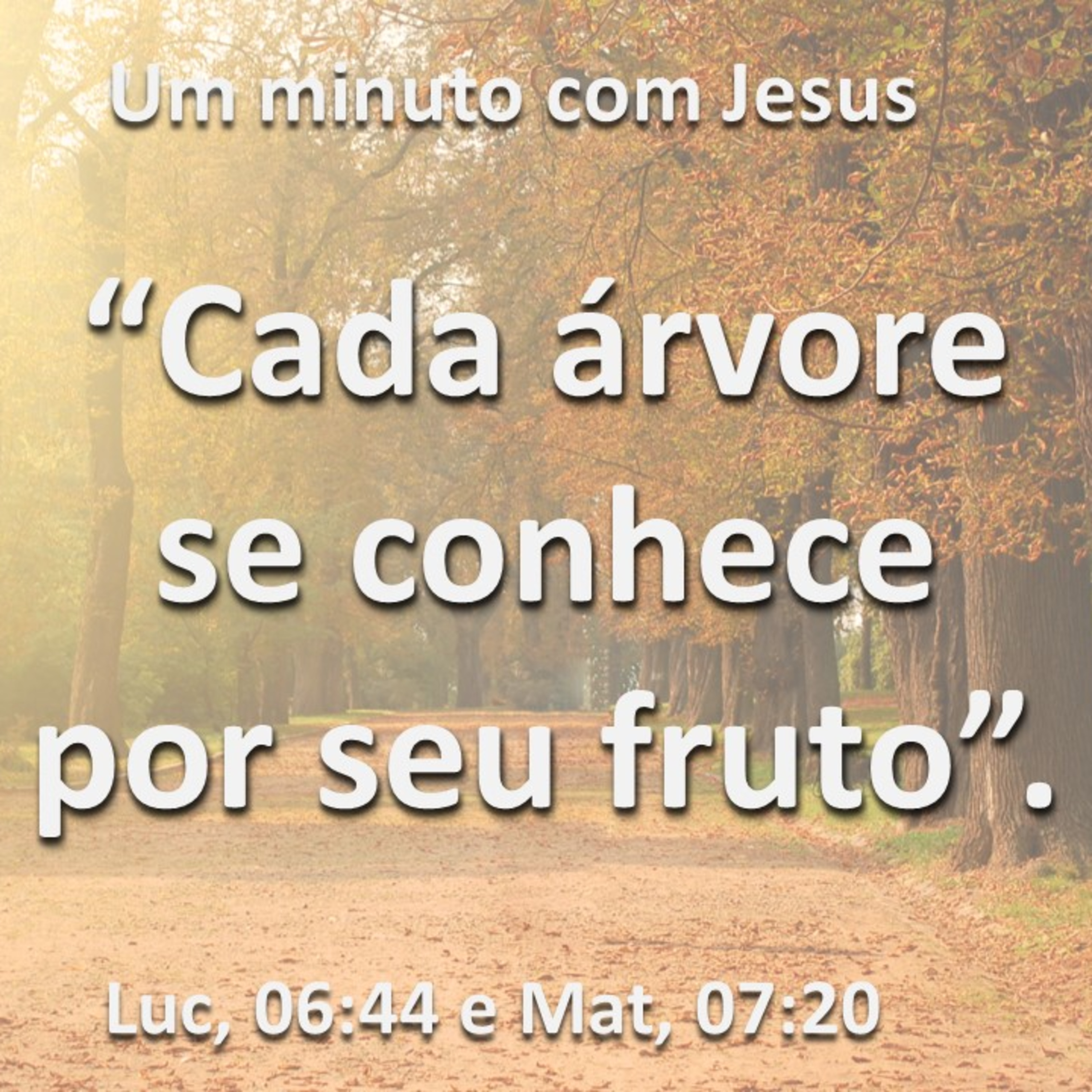 Um minuto com Jesus - Lucas 06:44 episode artwork