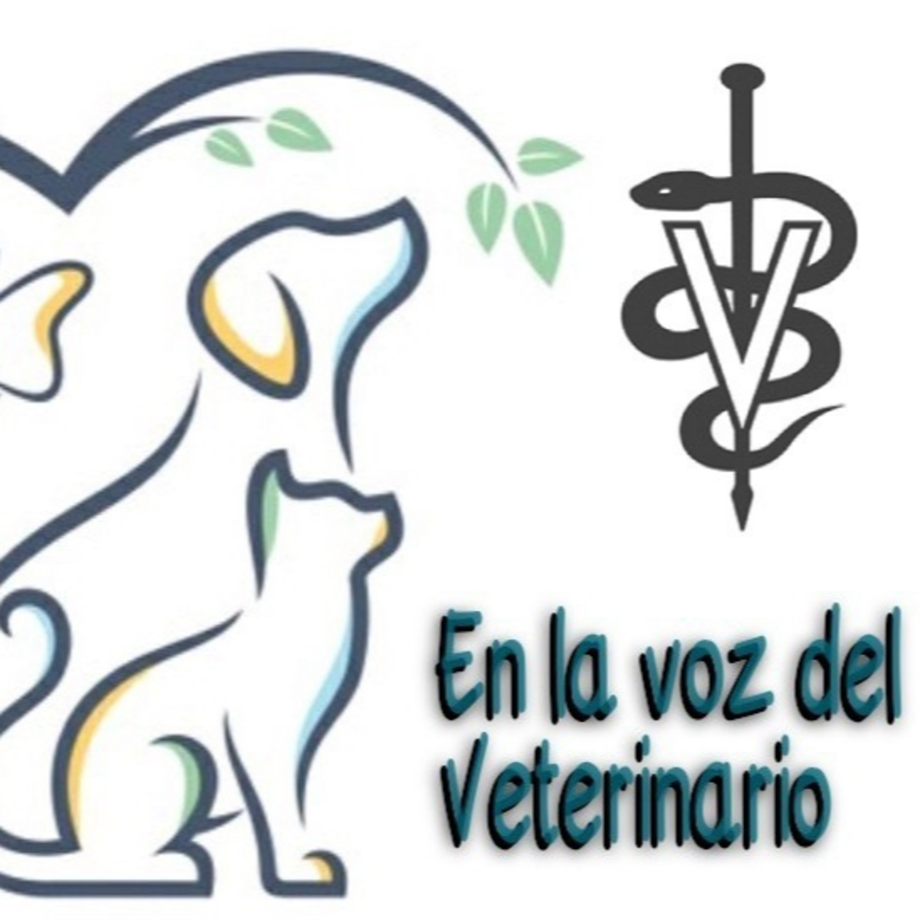 En la Voz del Veterinario 130421 p133