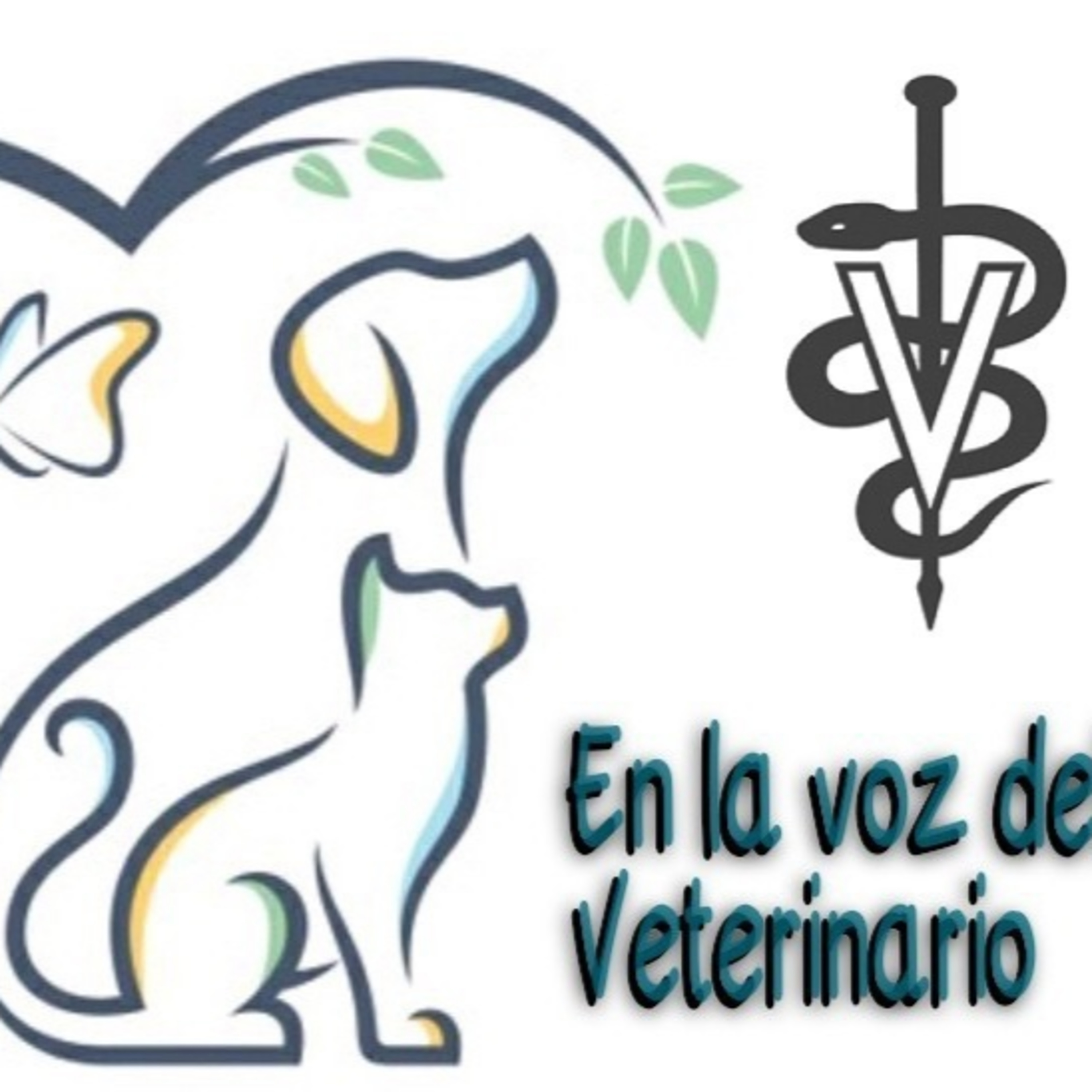 En la Voz del Veterinario 200421 p134 episode artwork