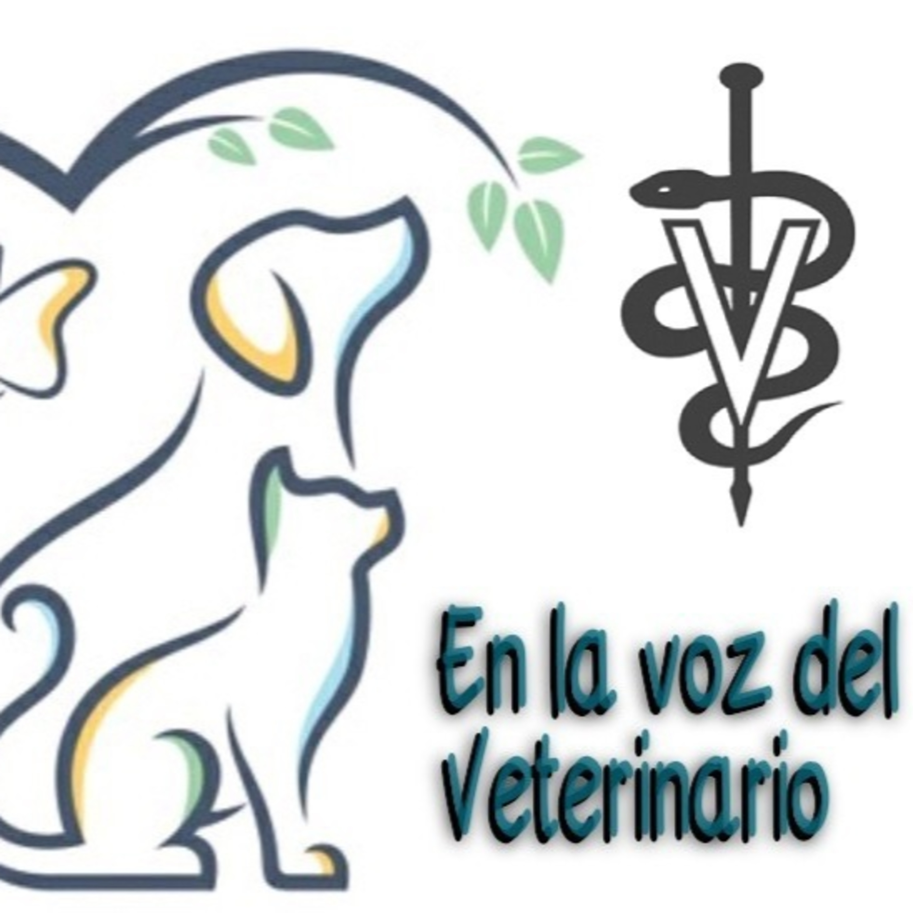 En la Voz del Veterinario 110521 p137