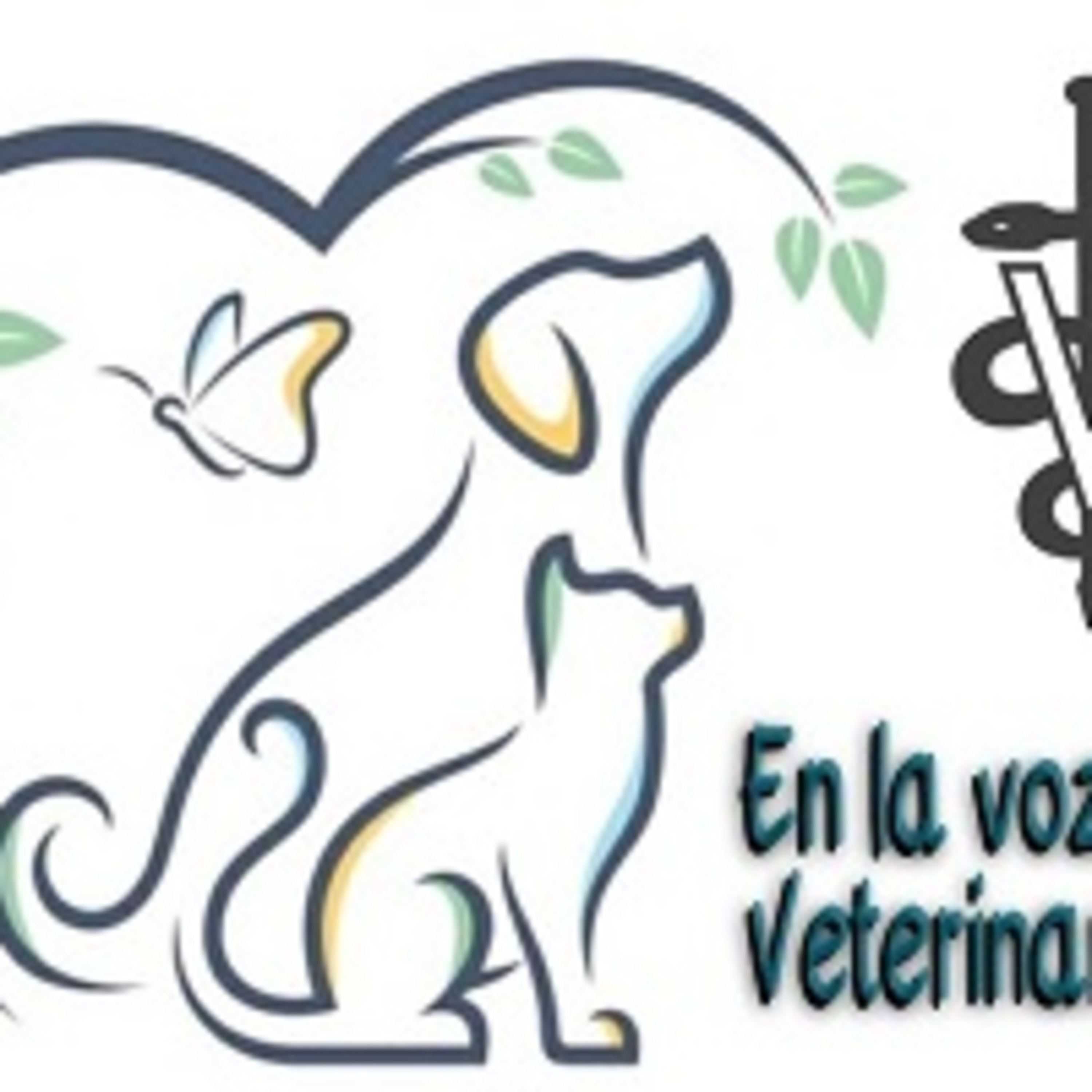 En la Voz del Veterinario 180521 p138.