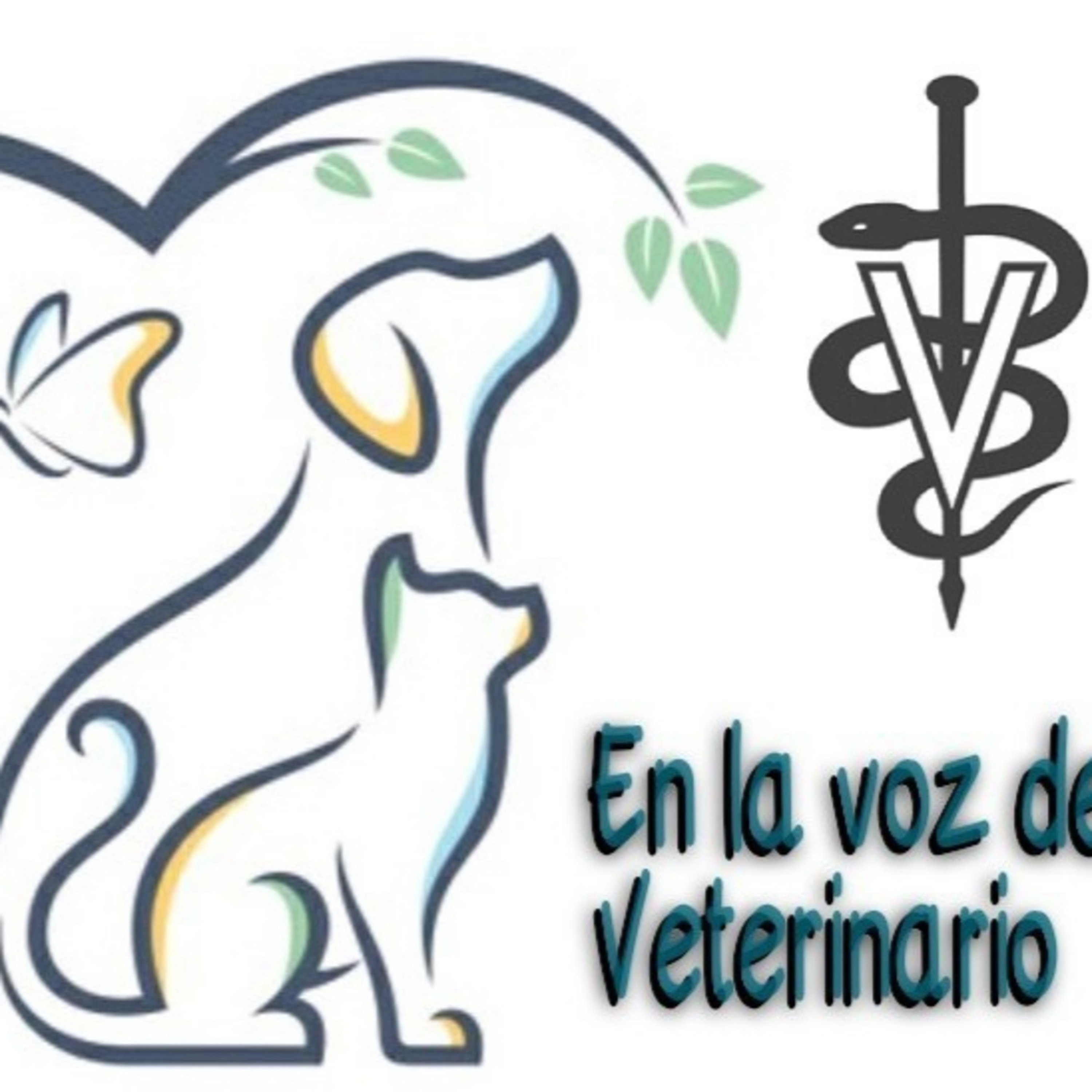 En la Voz del Veterinario 080621 p141