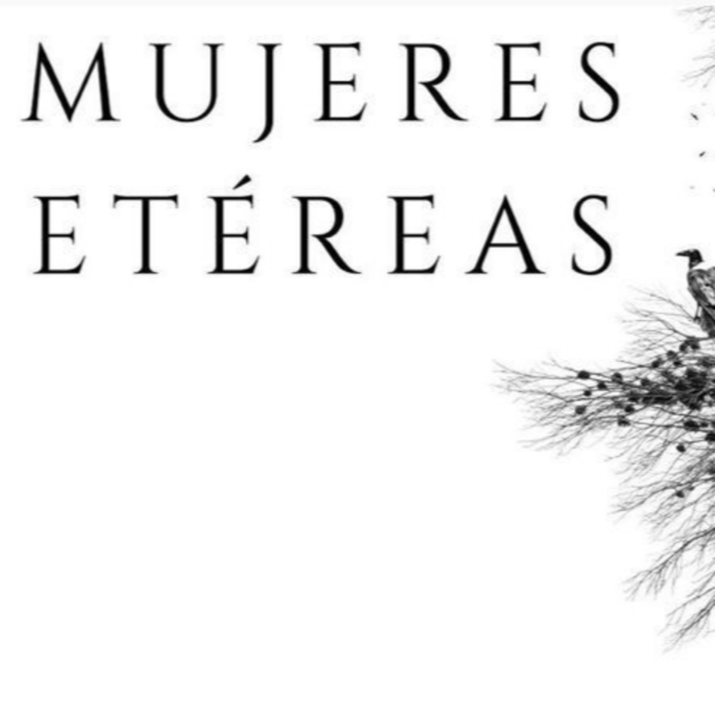 Mujeres etéreas 160621 p142 episode artwork