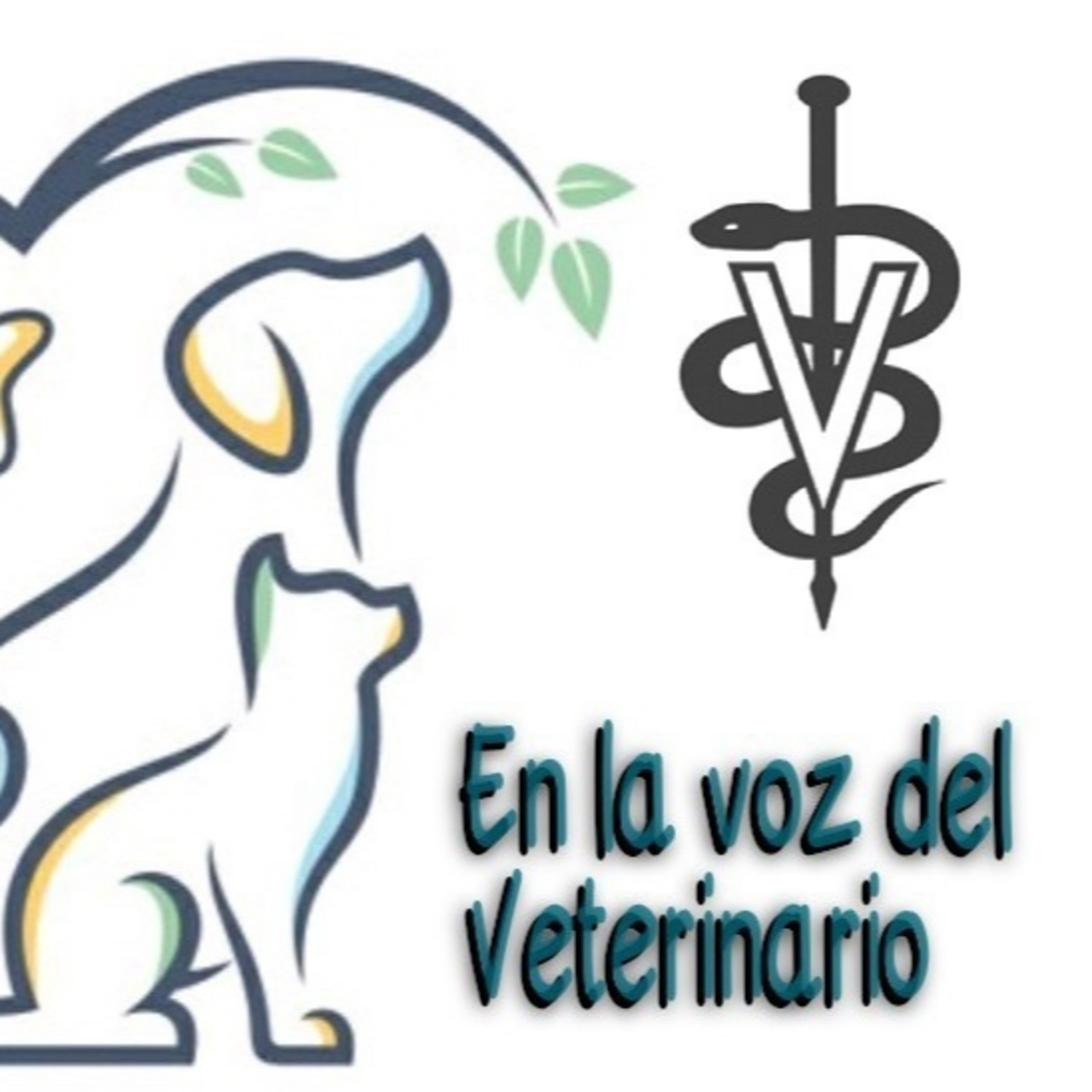 En la Voz del Veterinario 290621 p144