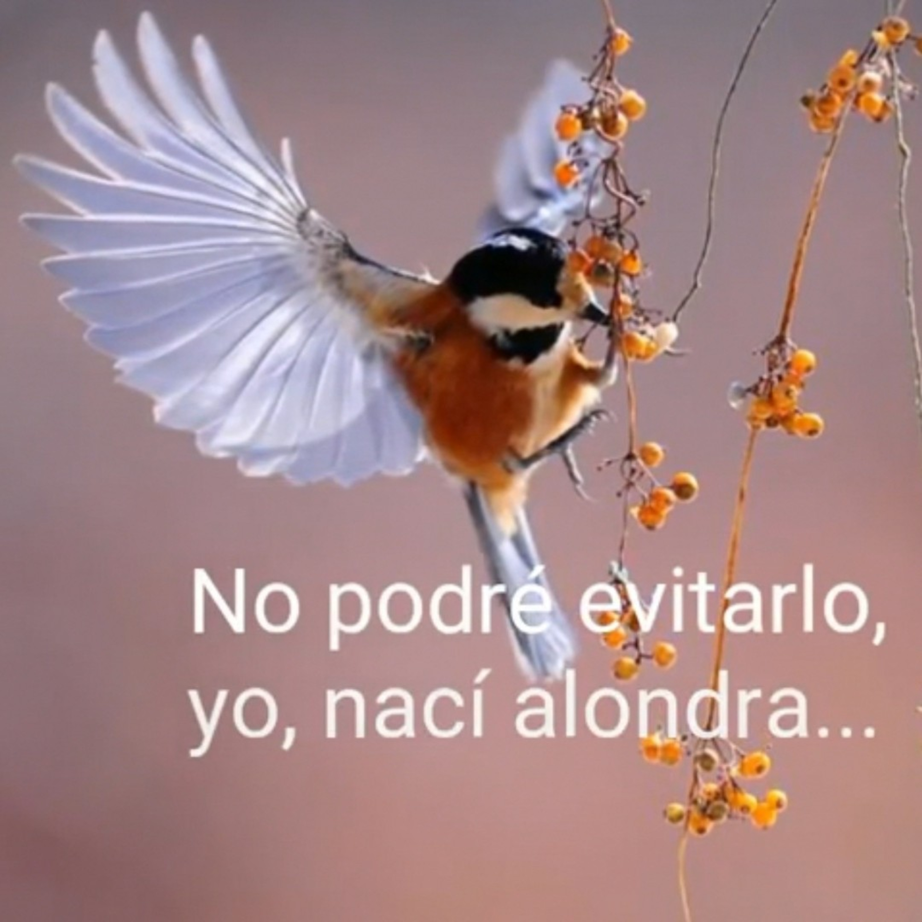 Mis Vivencias Raúl Aldana Fontana Y Algunos Poemas