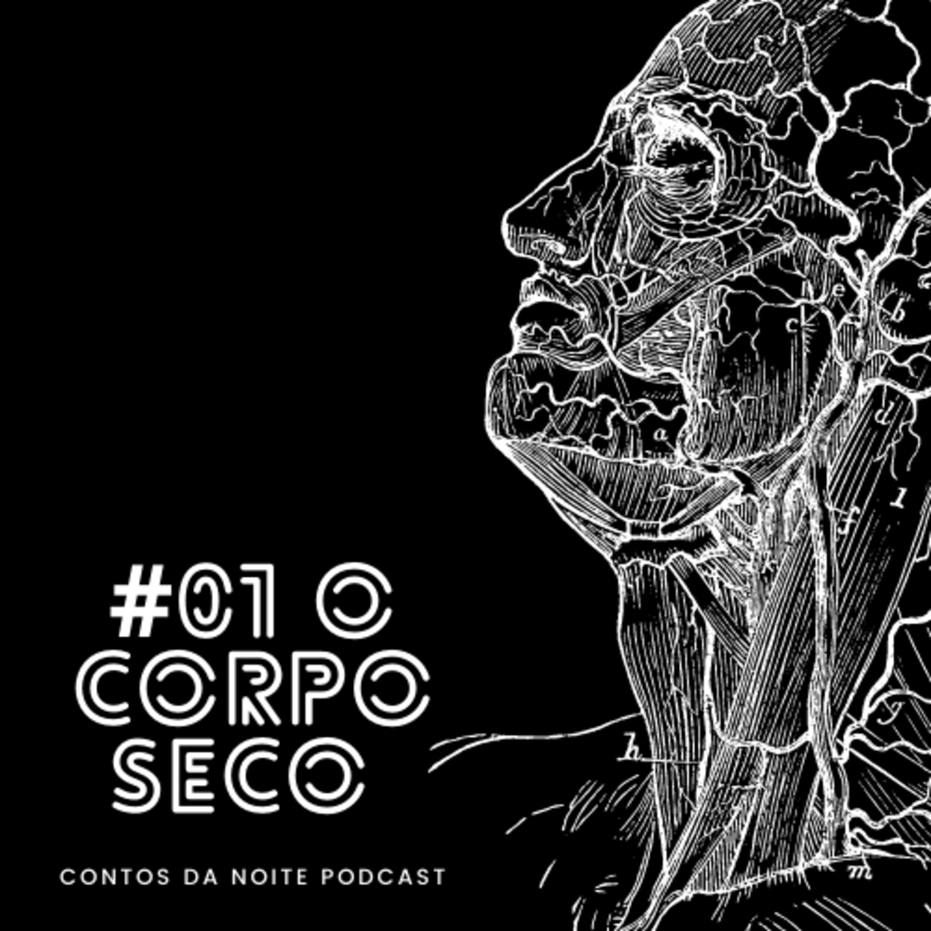 O Corpo Seco