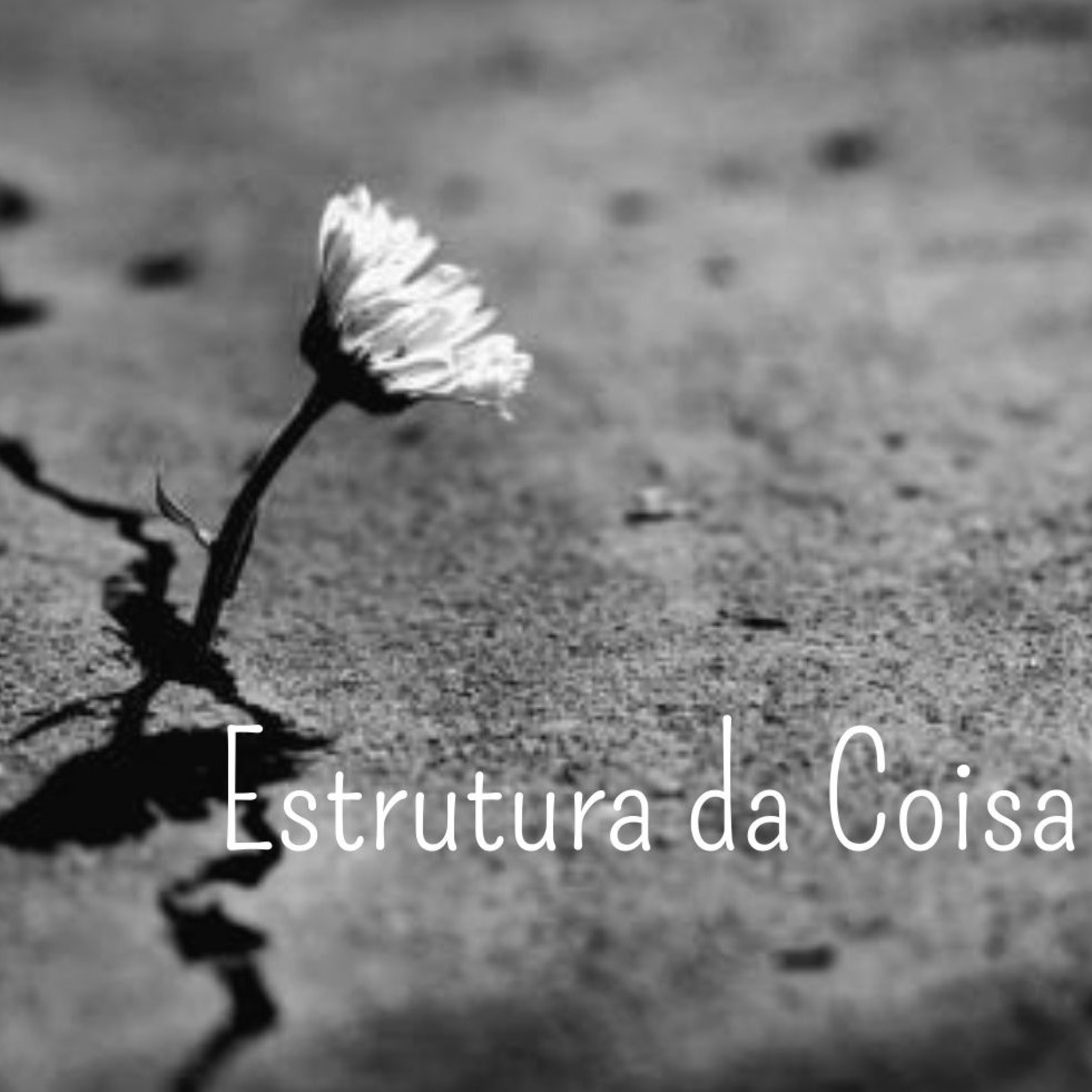 Episódio I: Desejo de regresso de Cecília Meireles episode artwork