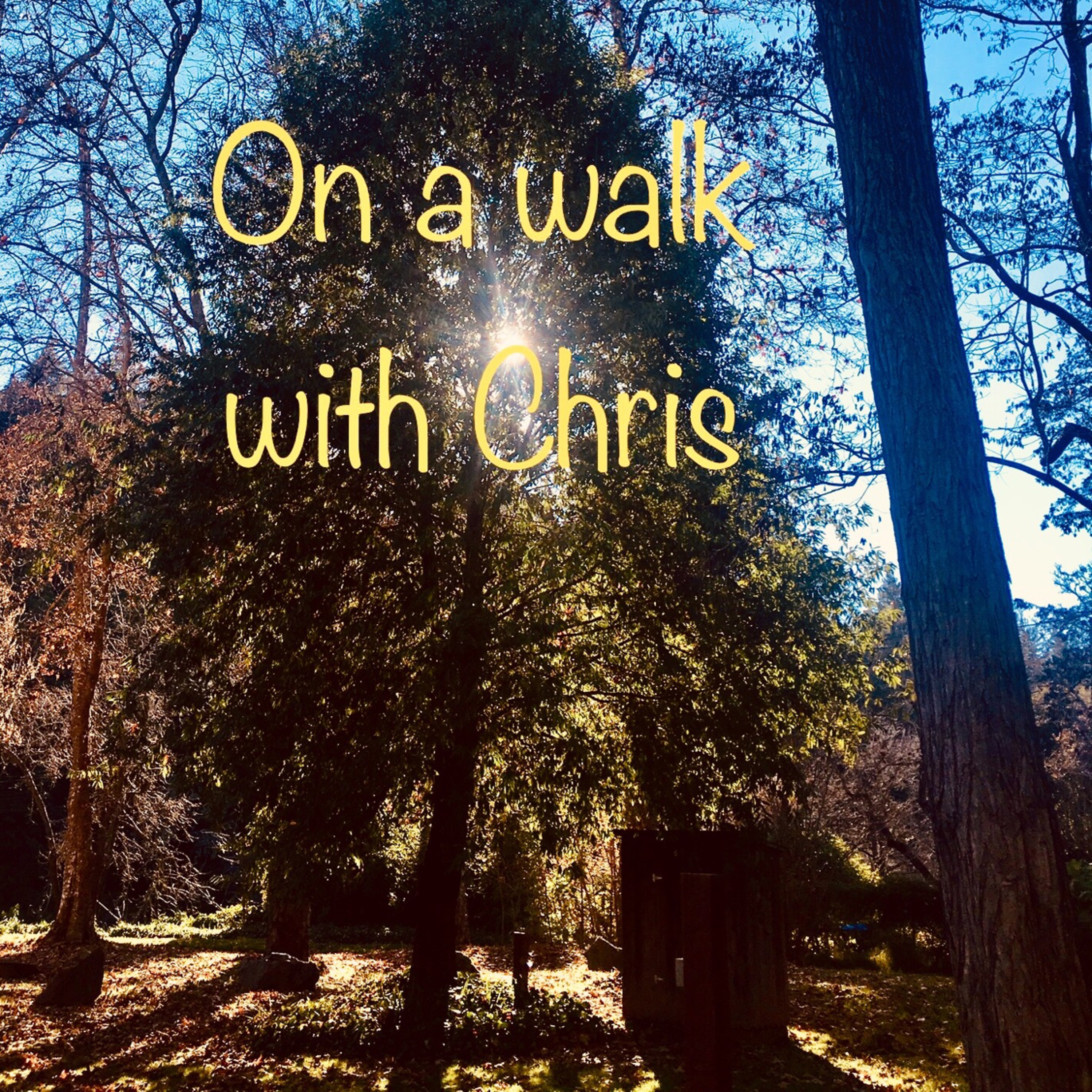 I live a pedestrian life. I’m always walking somewhere. Let’s go on this walk together.